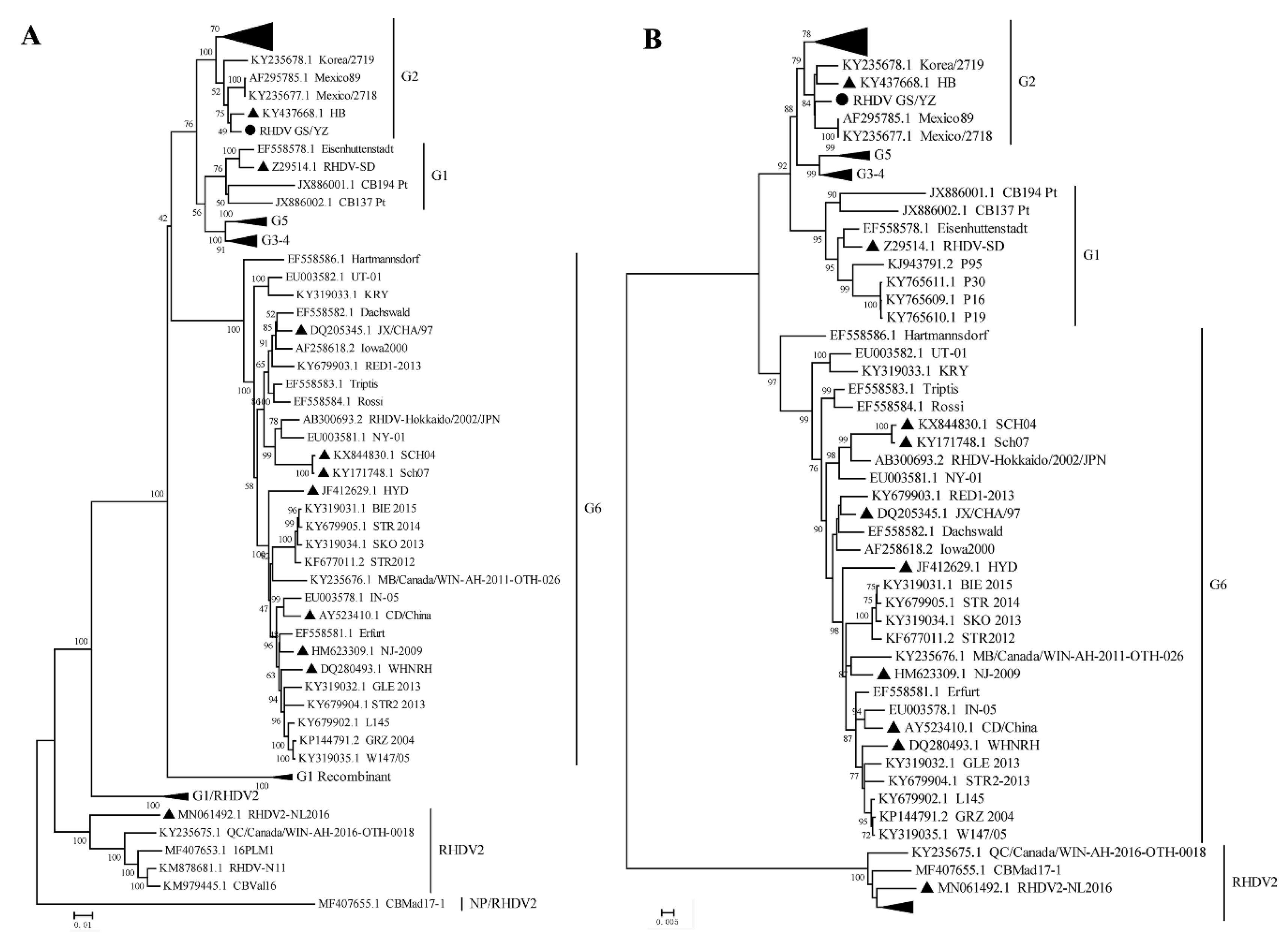 Viruses 12 00897 g005 Viruses 12 00897 g005