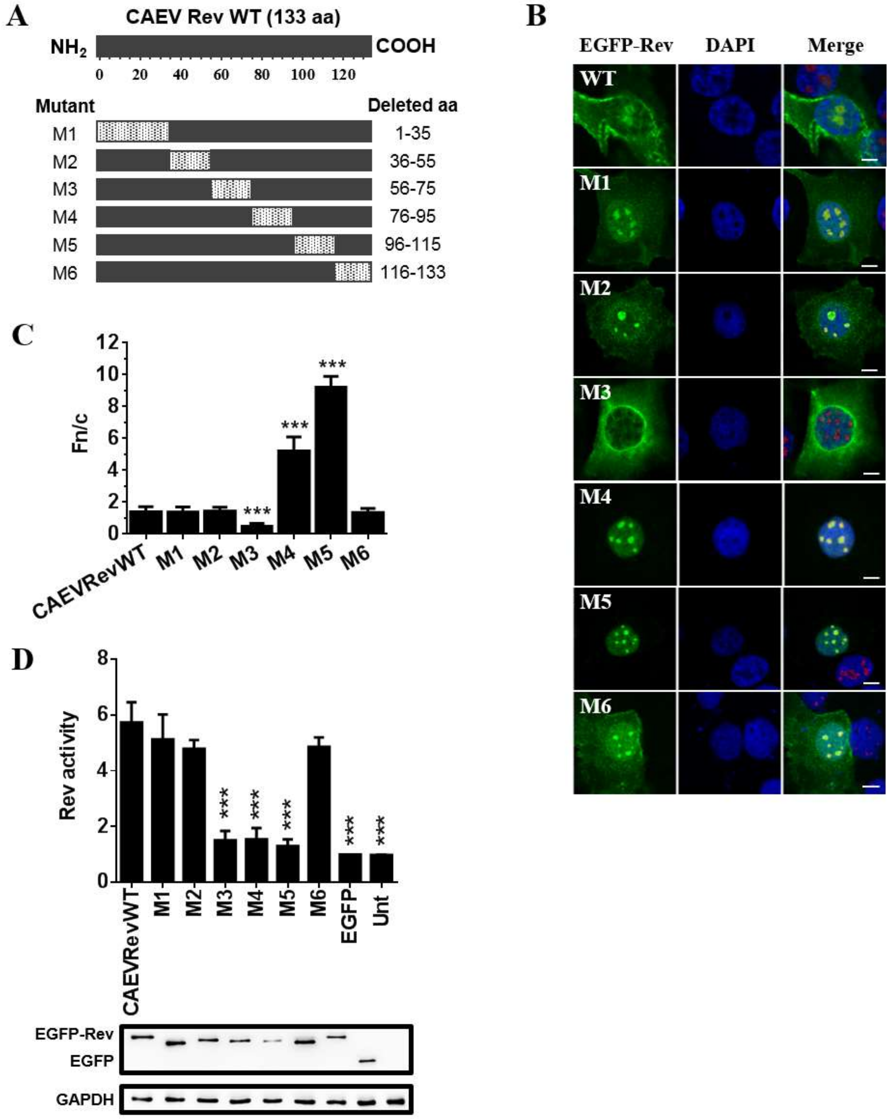 Viruses 12 00900 g002 Viruses 12 00900 g002
