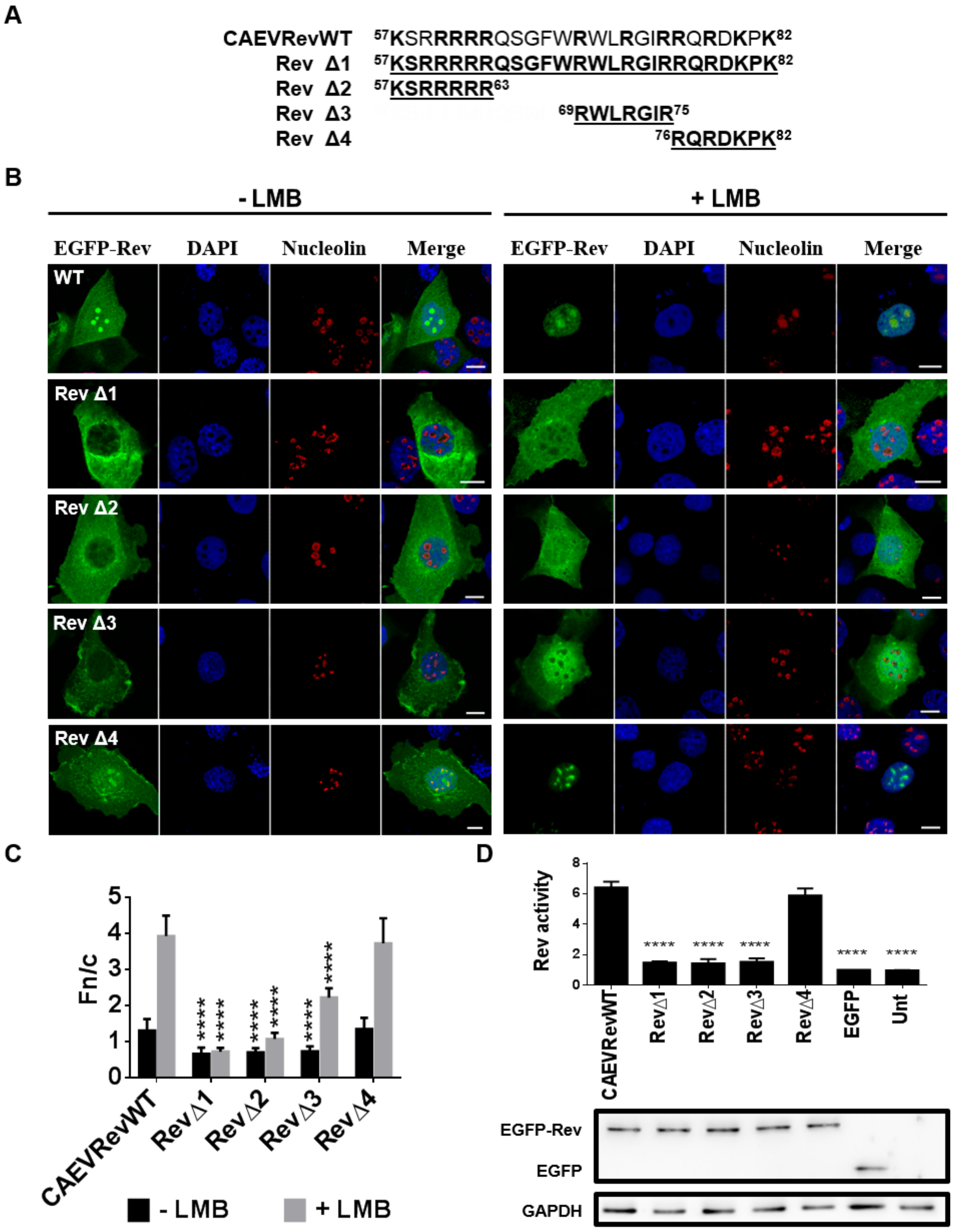 Viruses 12 00900 g004 Viruses 12 00900 g004