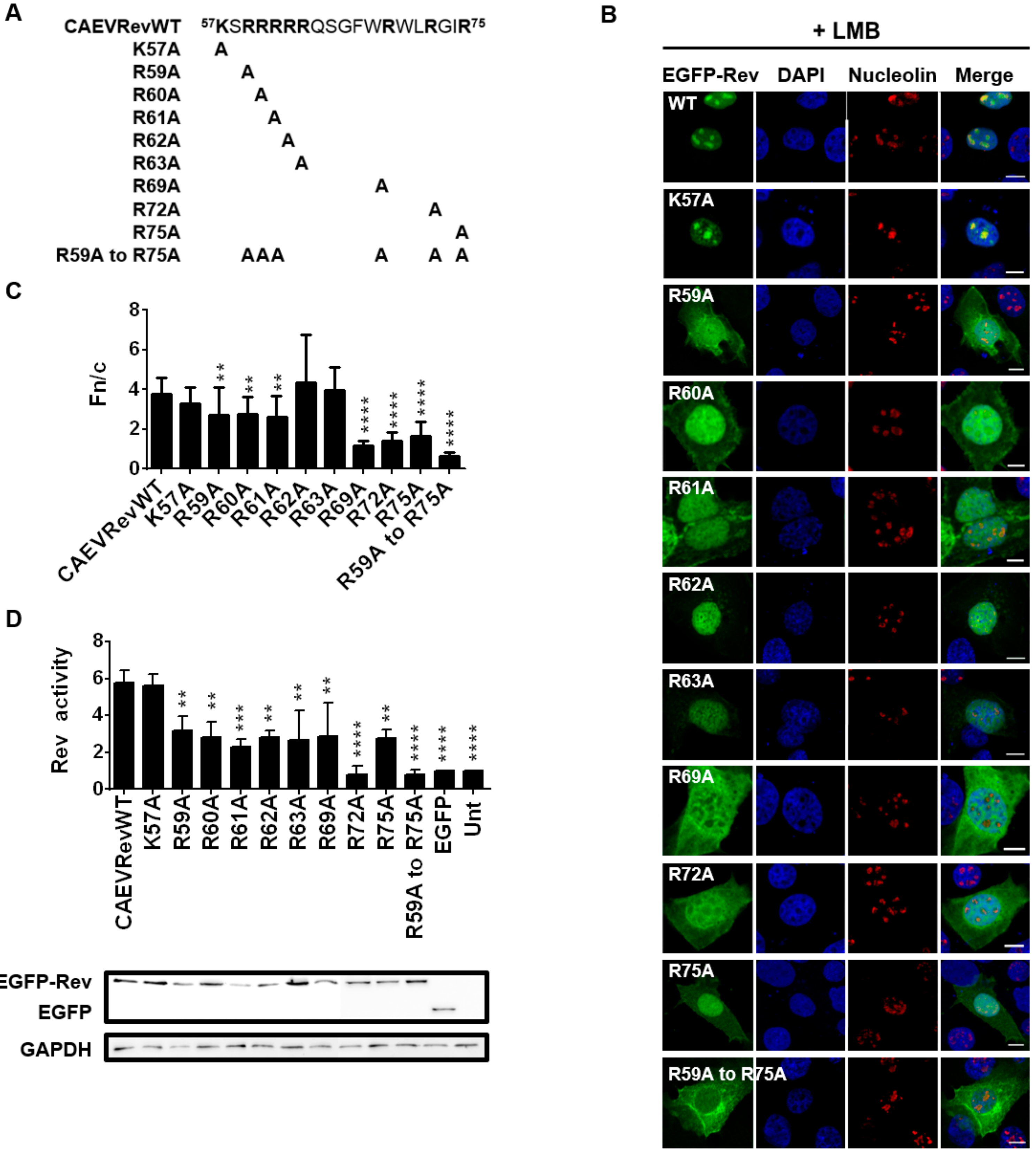 Viruses 12 00900 g005 Viruses 12 00900 g005