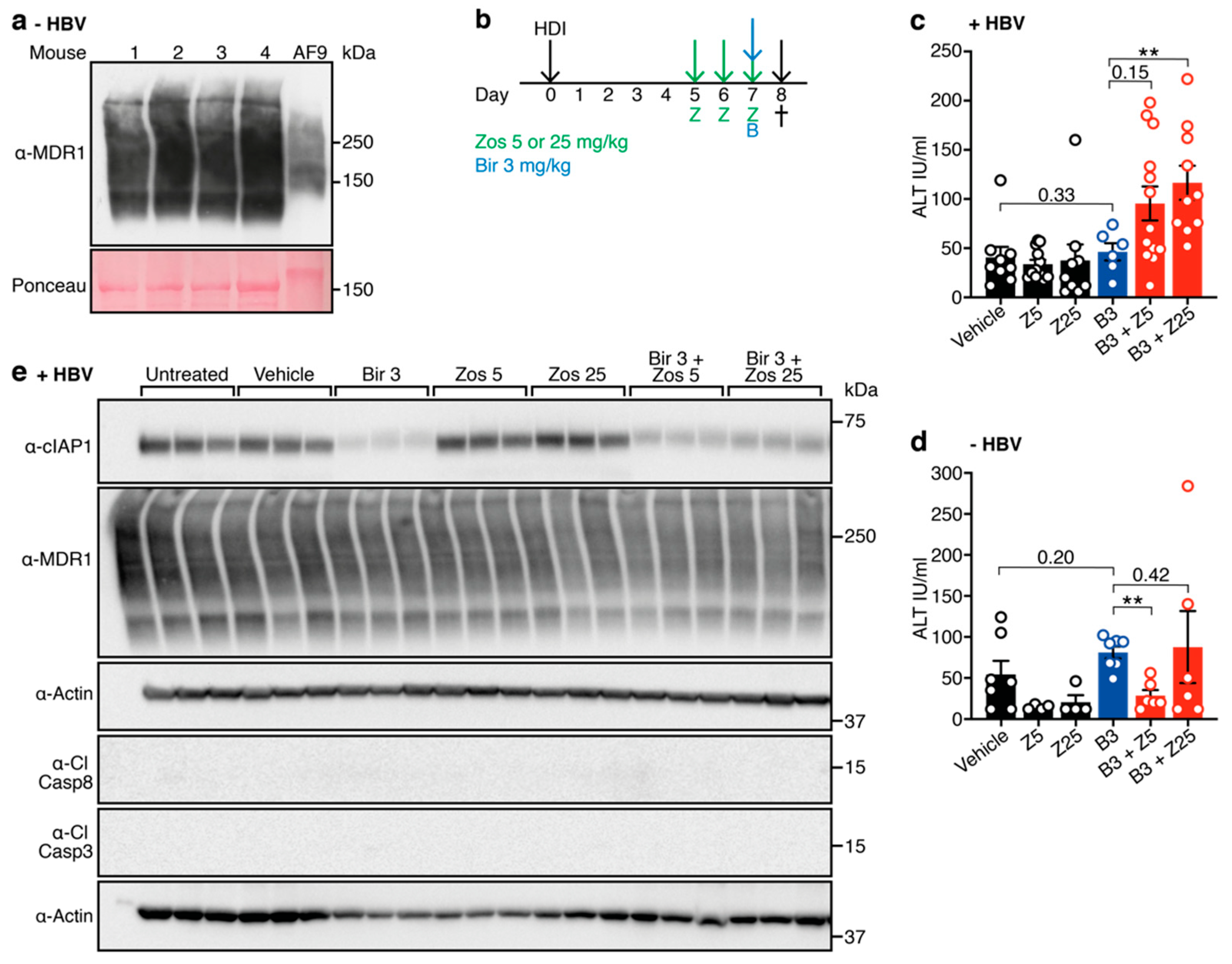 Viruses 12 00901 g002 Viruses 12 00901 g002