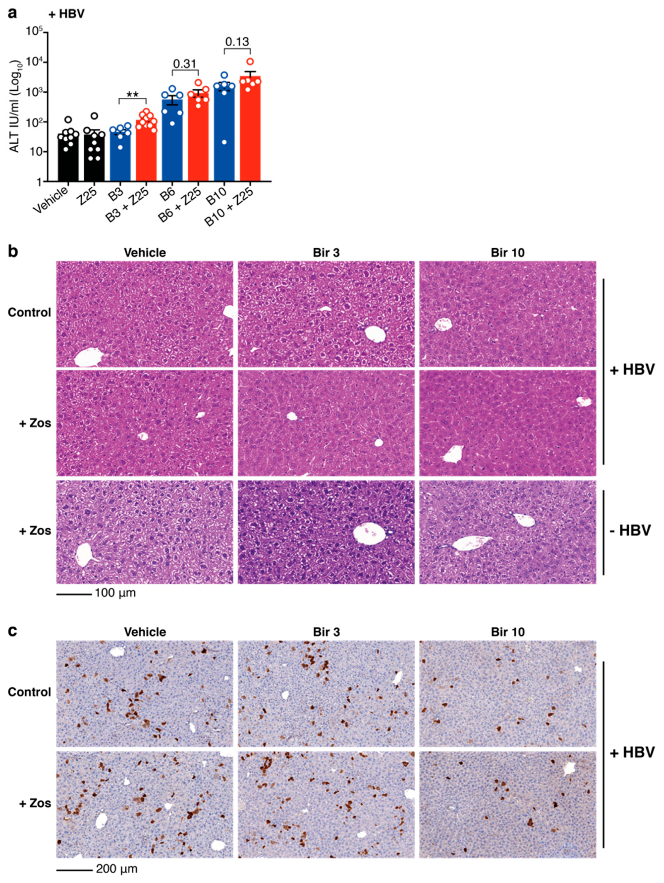 Viruses 12 00901 g003 Viruses 12 00901 g003