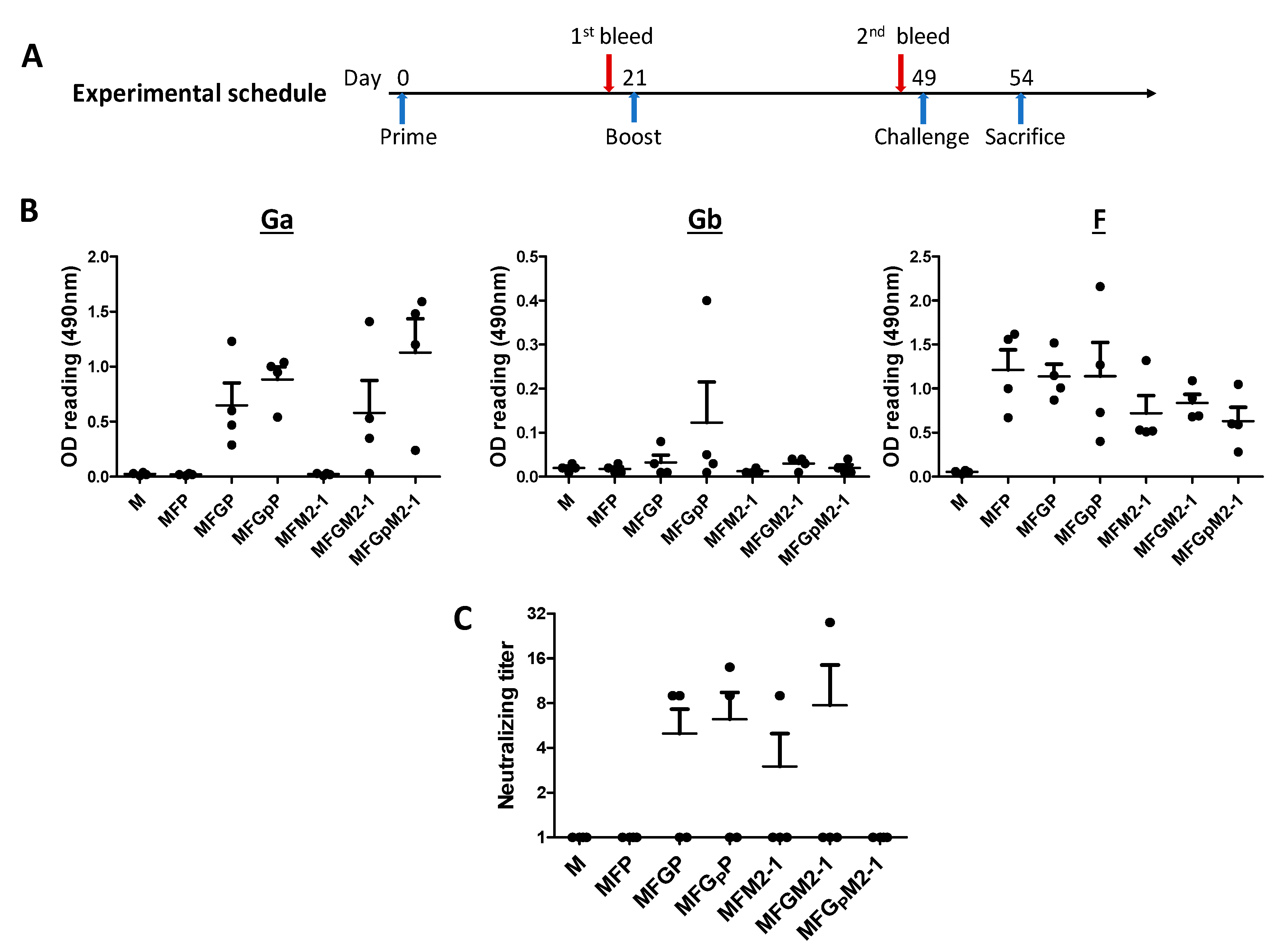 Viruses 12 00906 g004