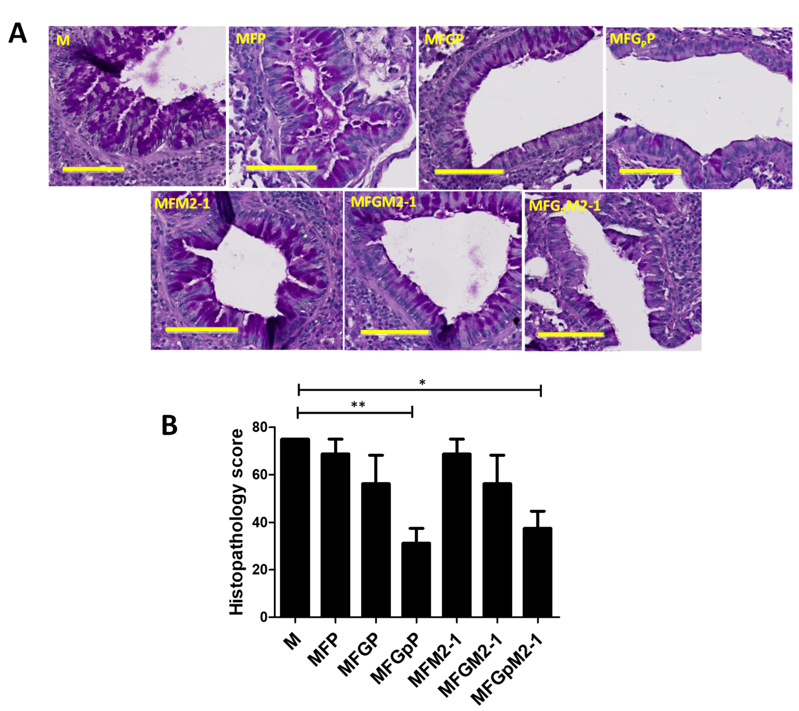Viruses 12 00906 g006