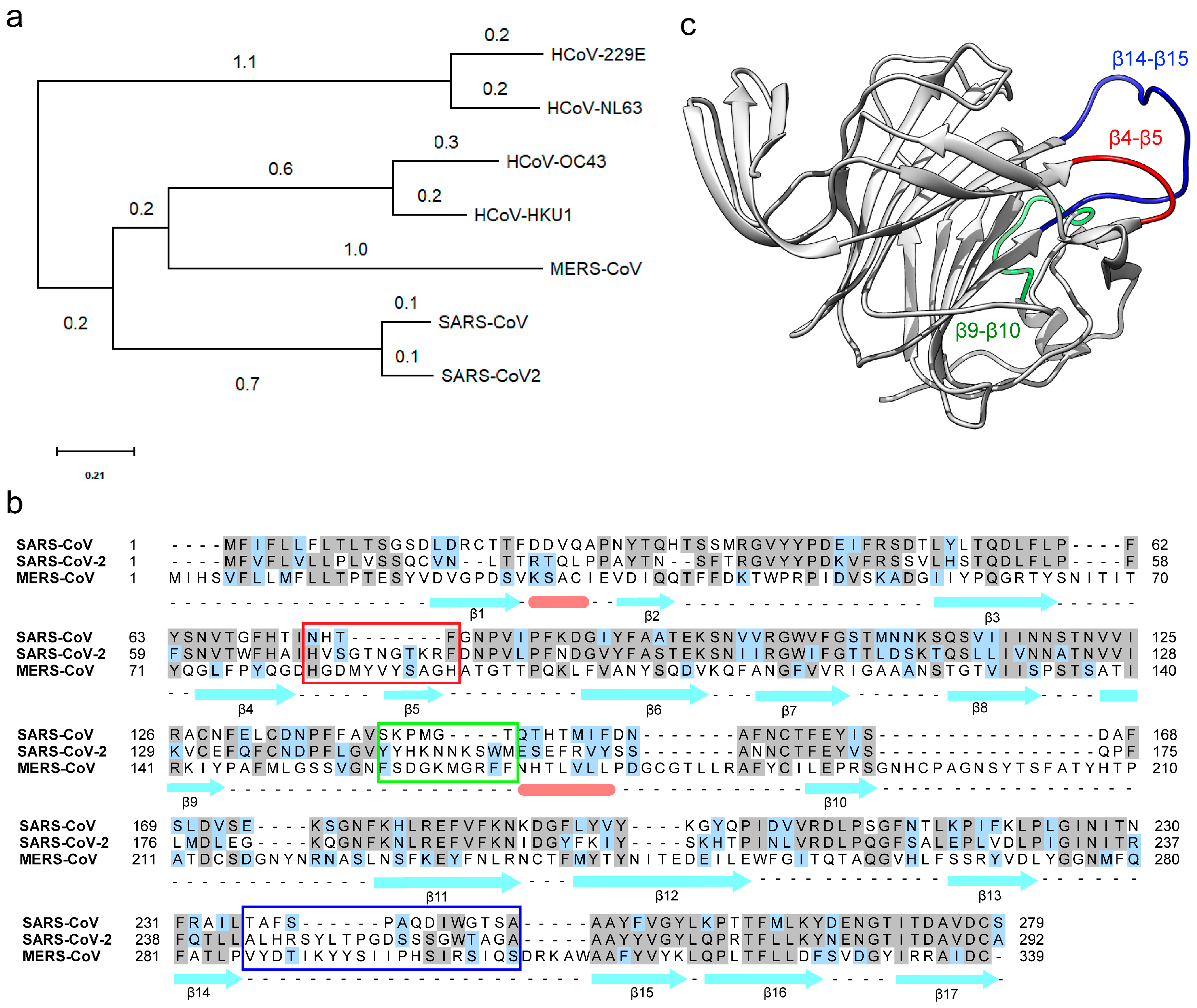 Viruses 12 00909 g001