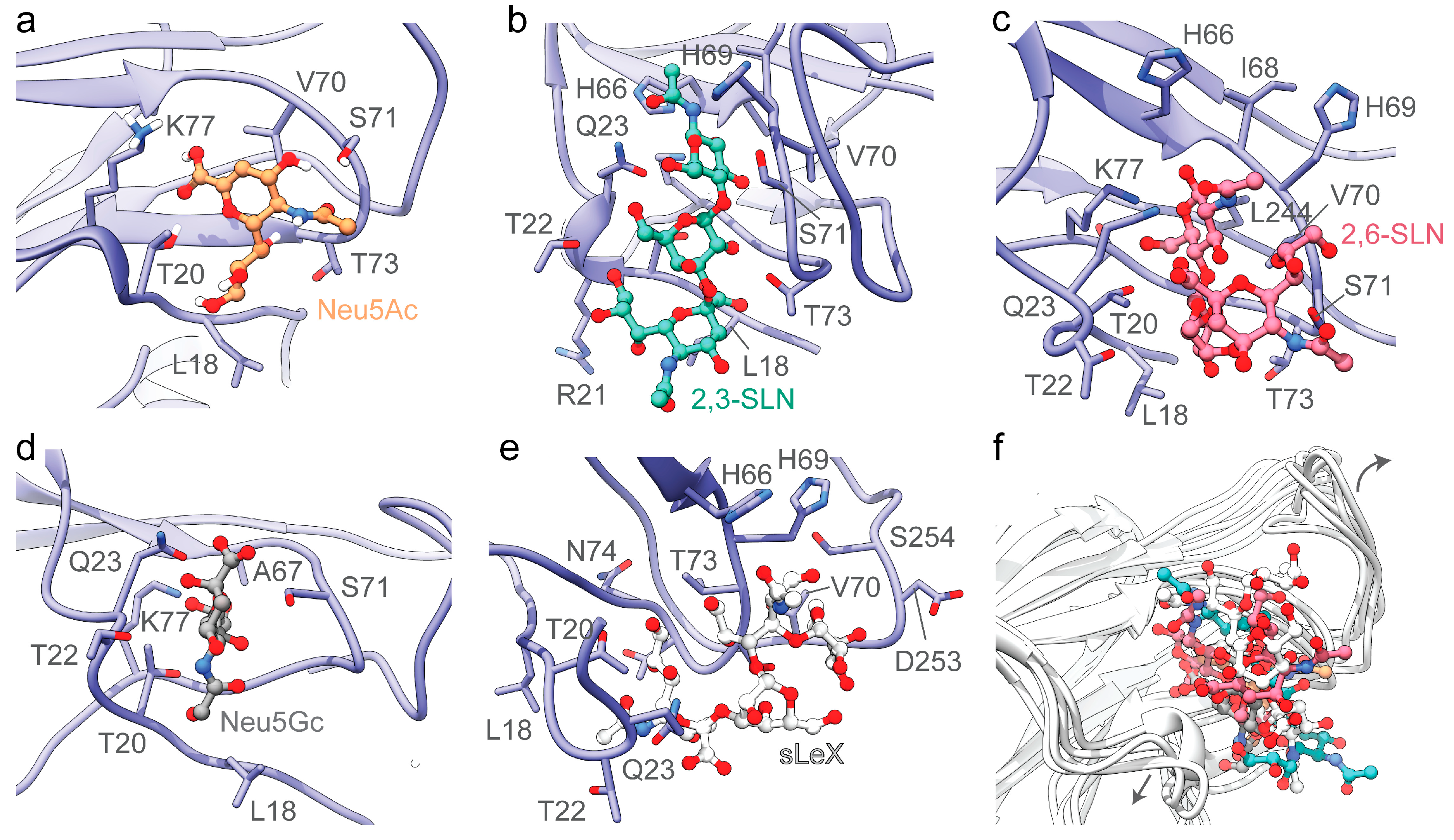 Viruses 12 00909 g002