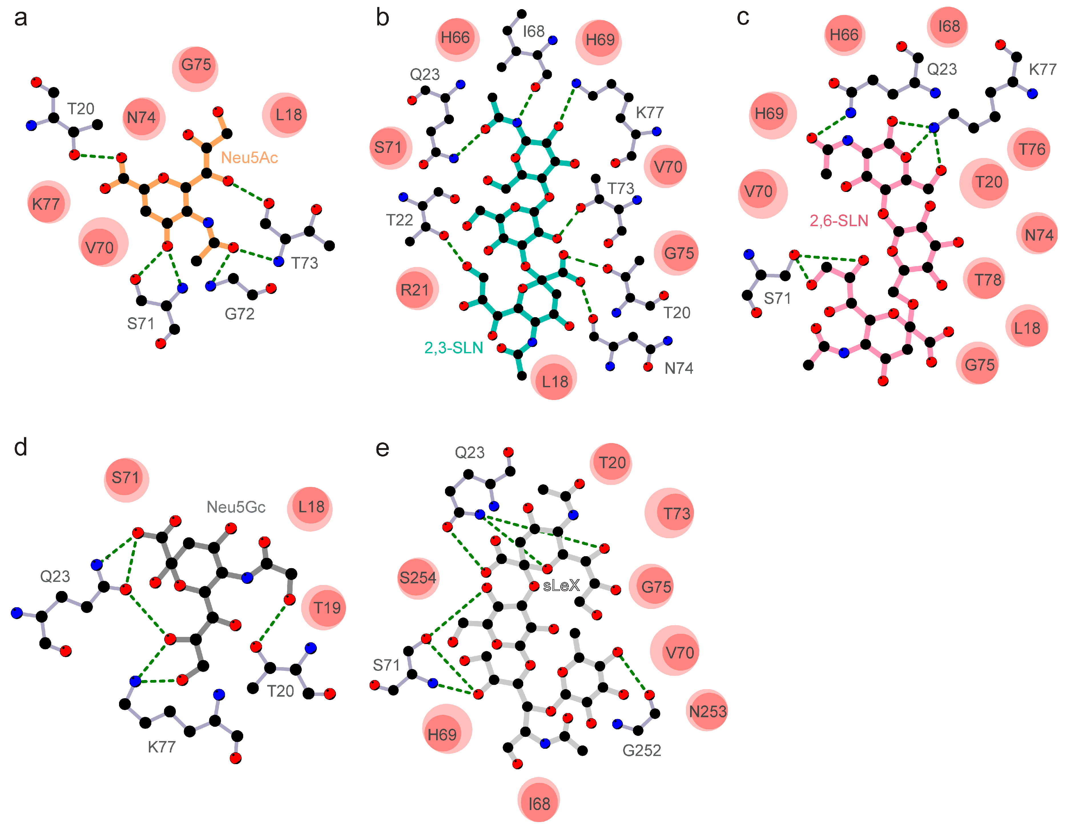 Viruses 12 00909 g003