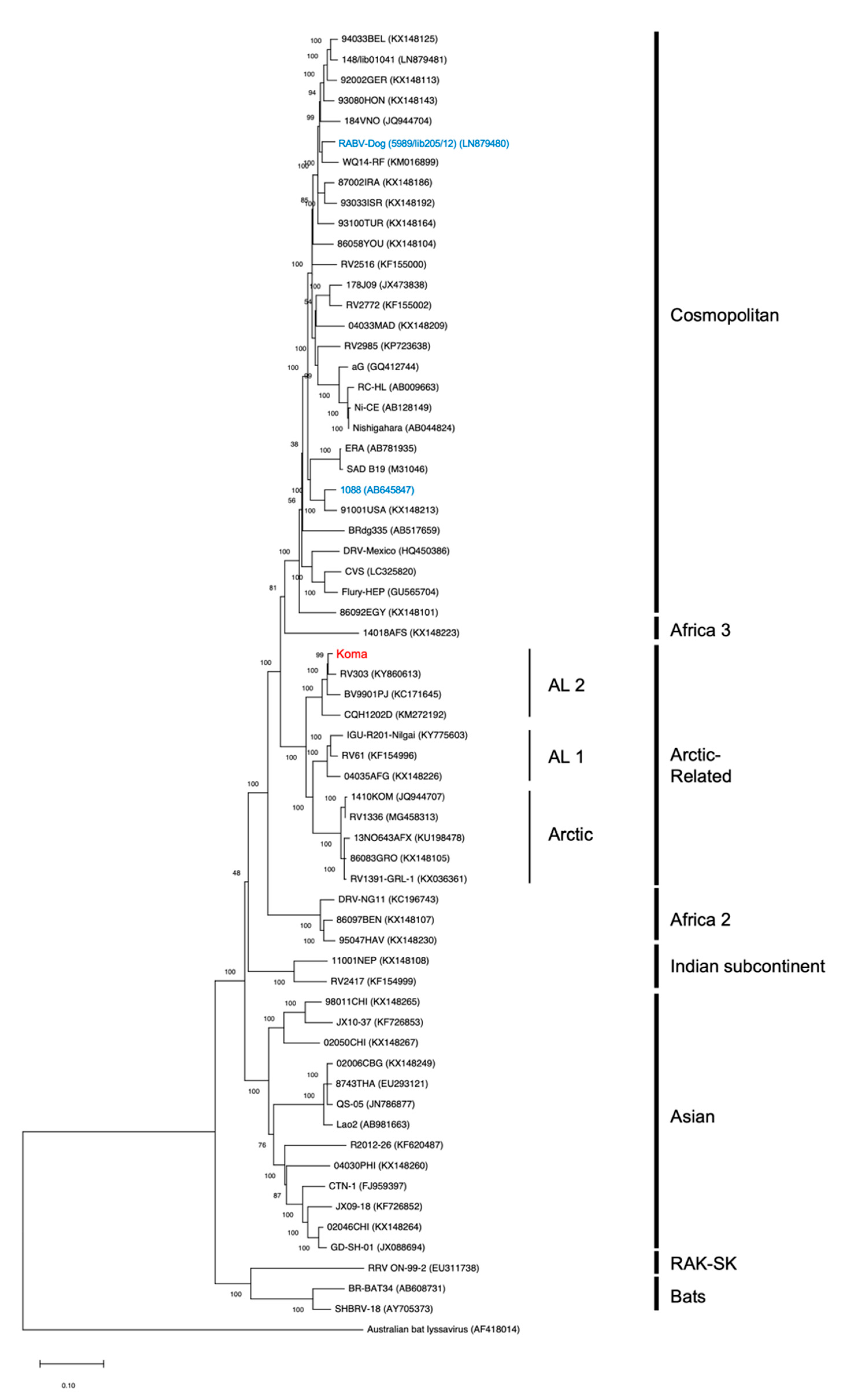 Viruses 12 00914 g002