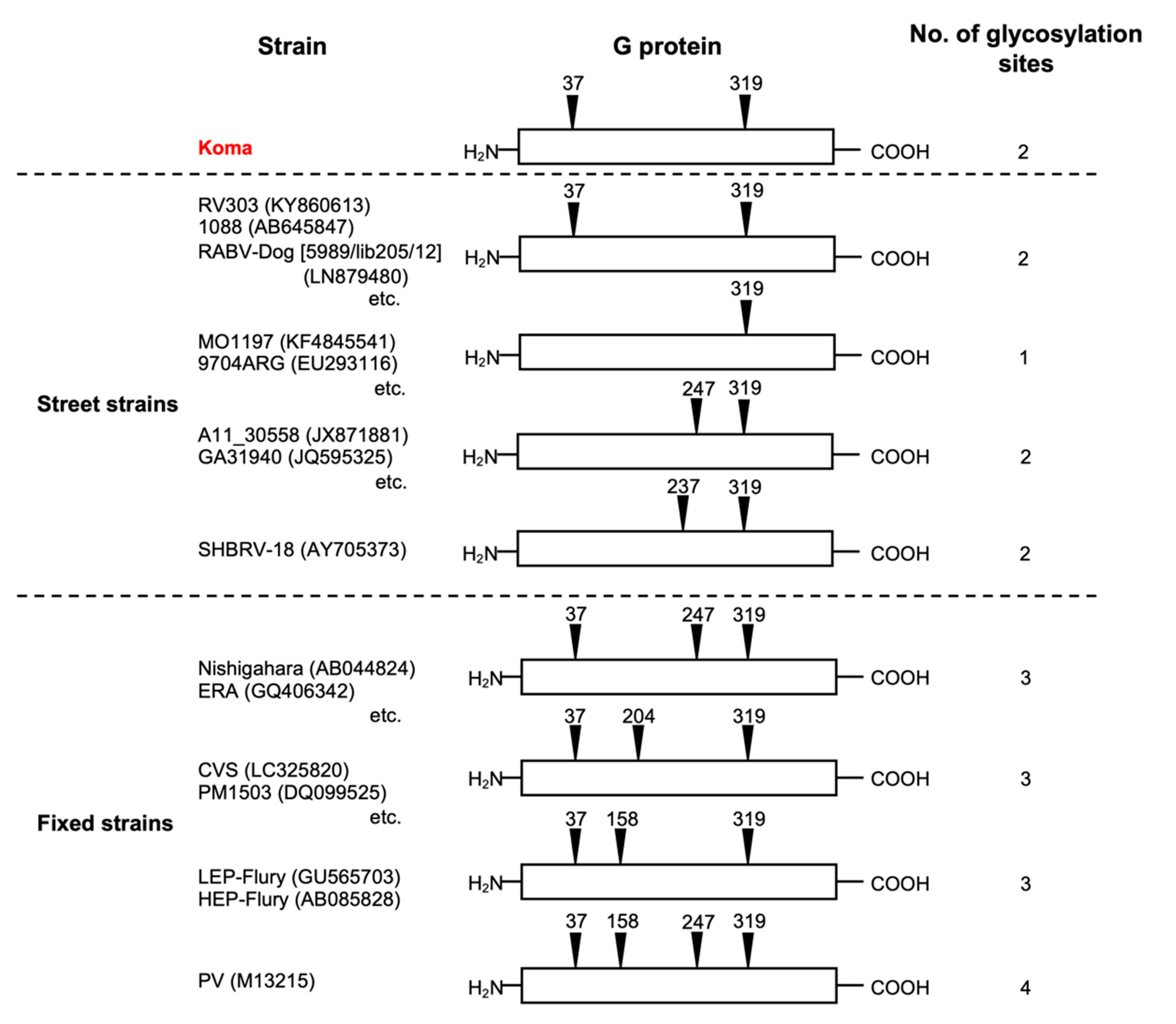 Viruses 12 00914 g004