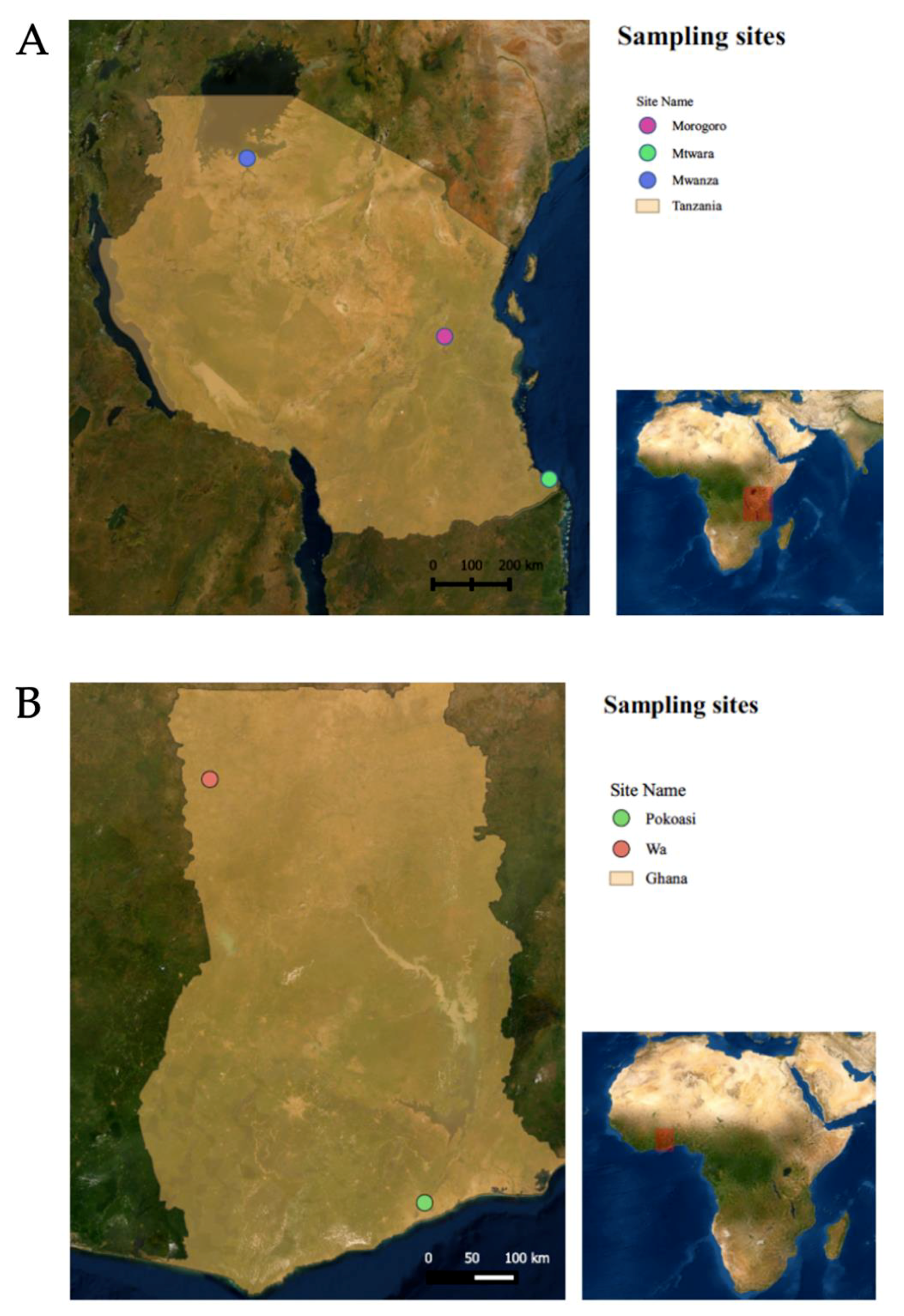 Viruses 12 00916 g001