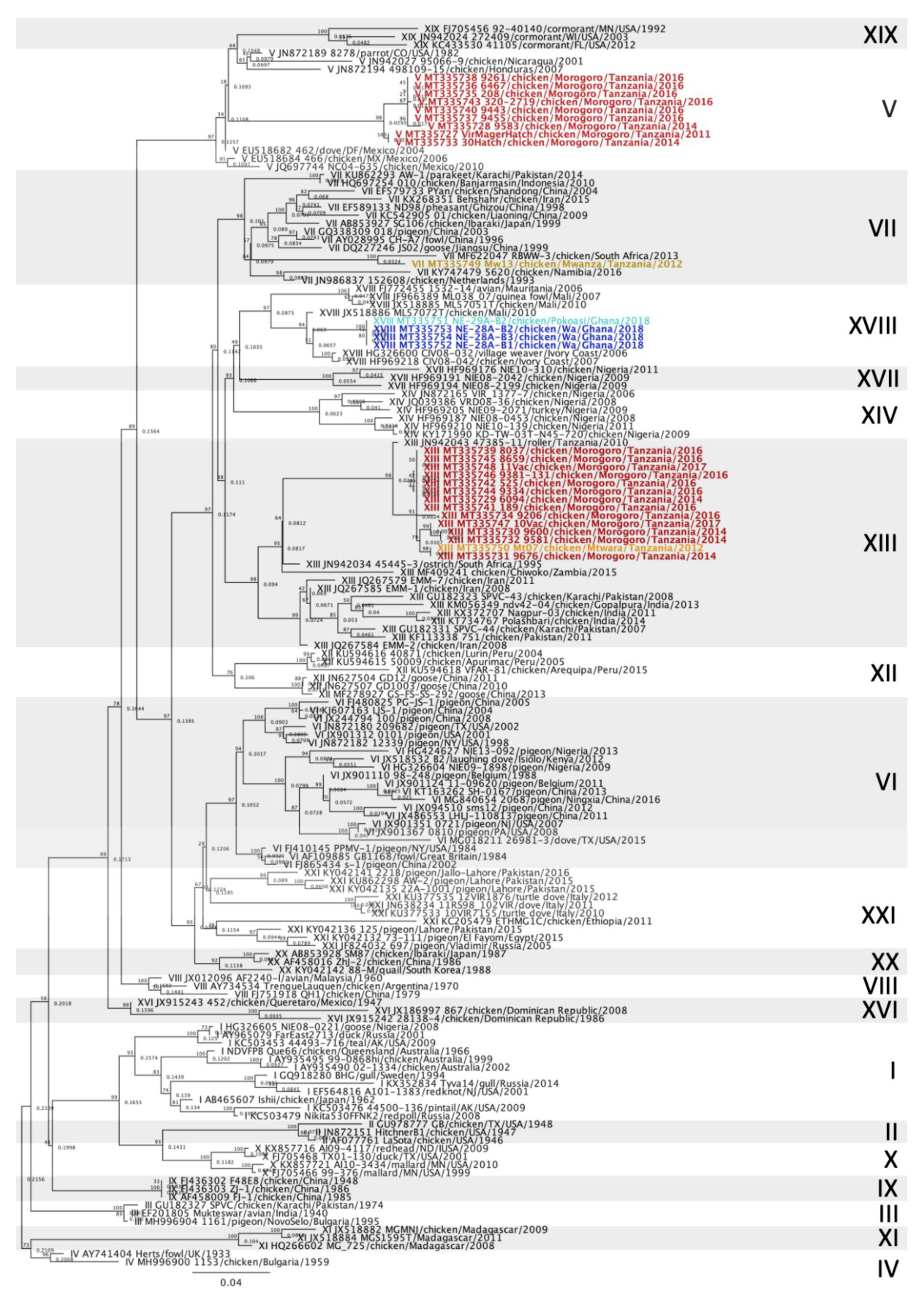 Viruses 12 00916 g002