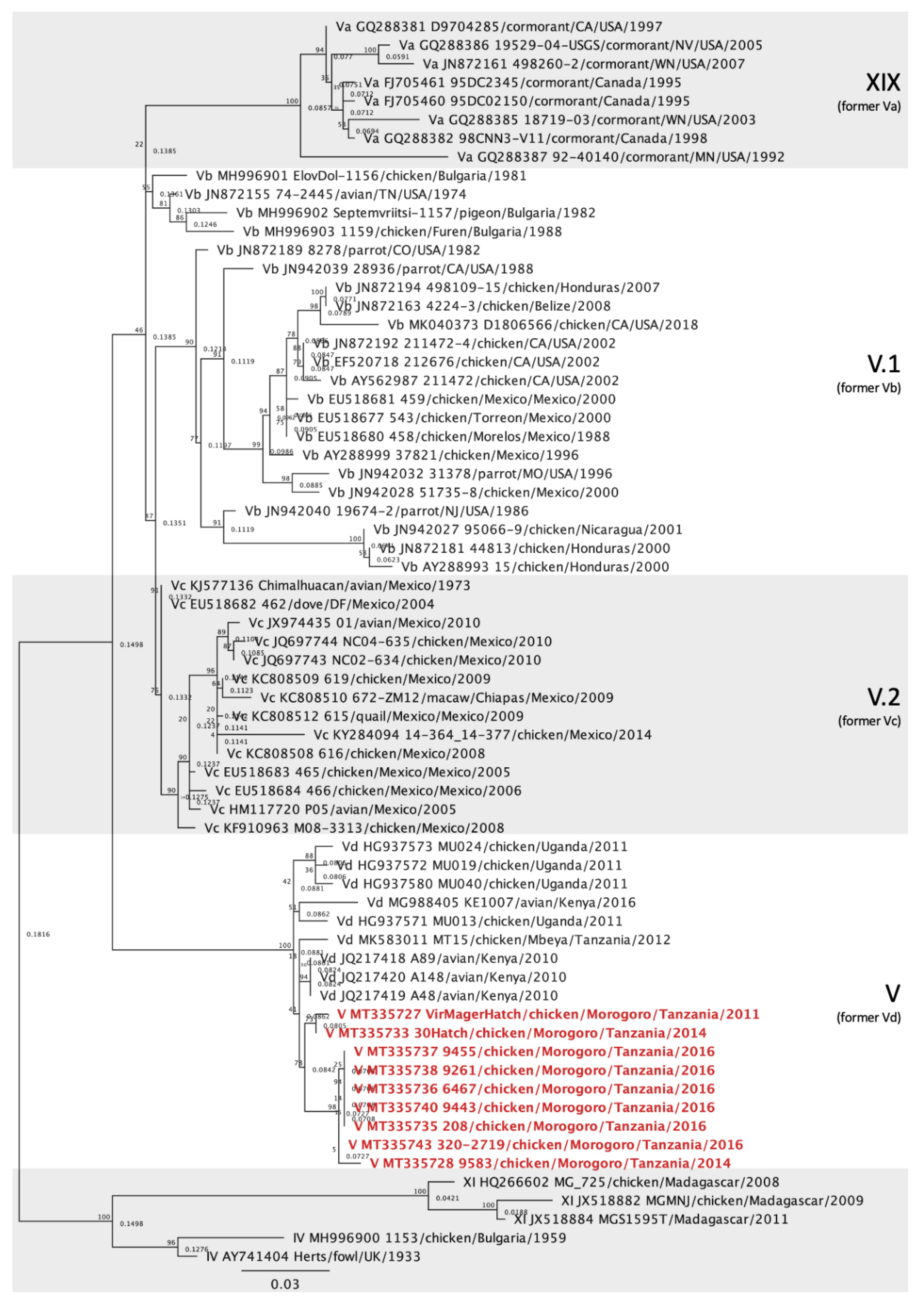 Viruses 12 00916 g003