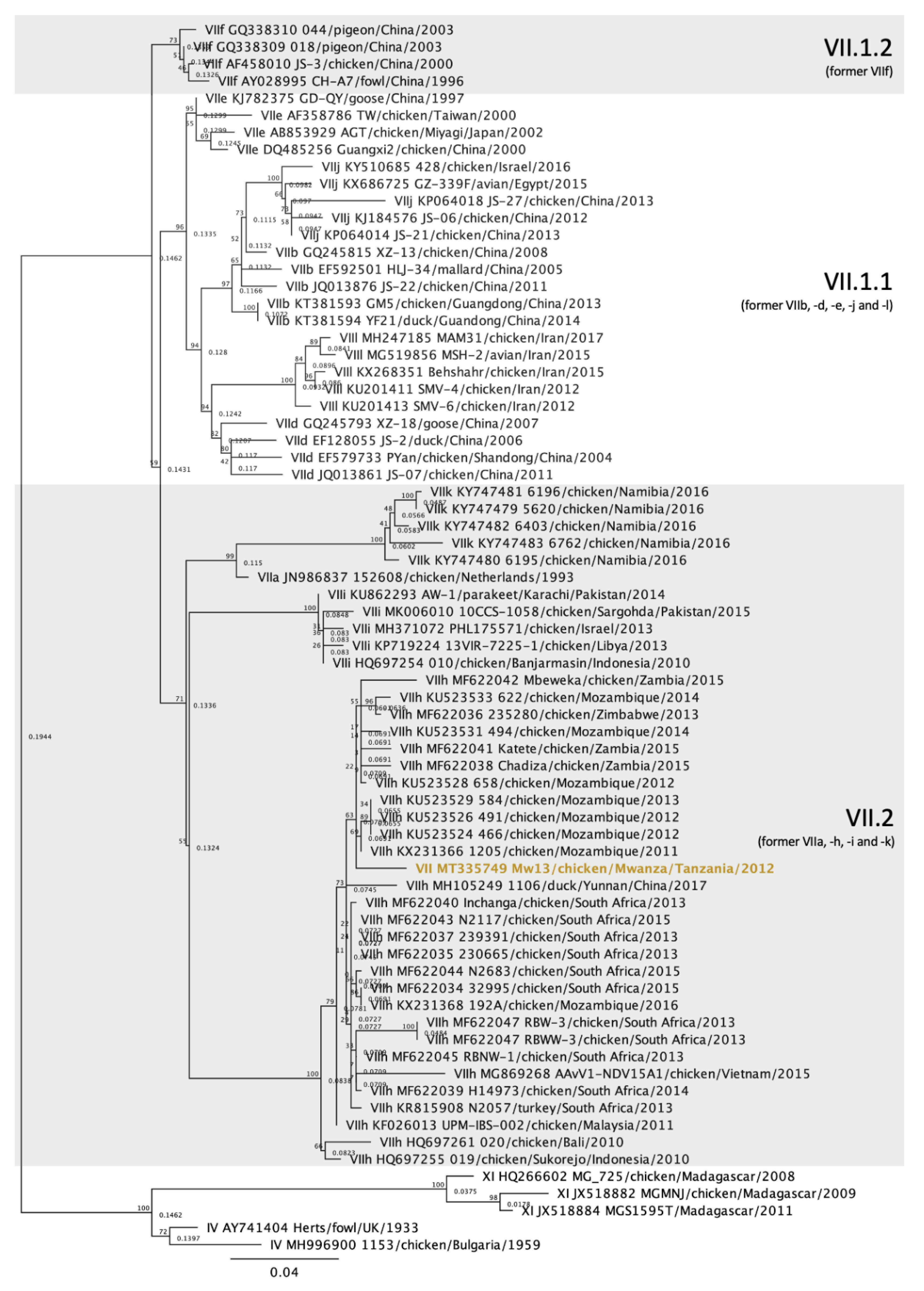 Viruses 12 00916 g004