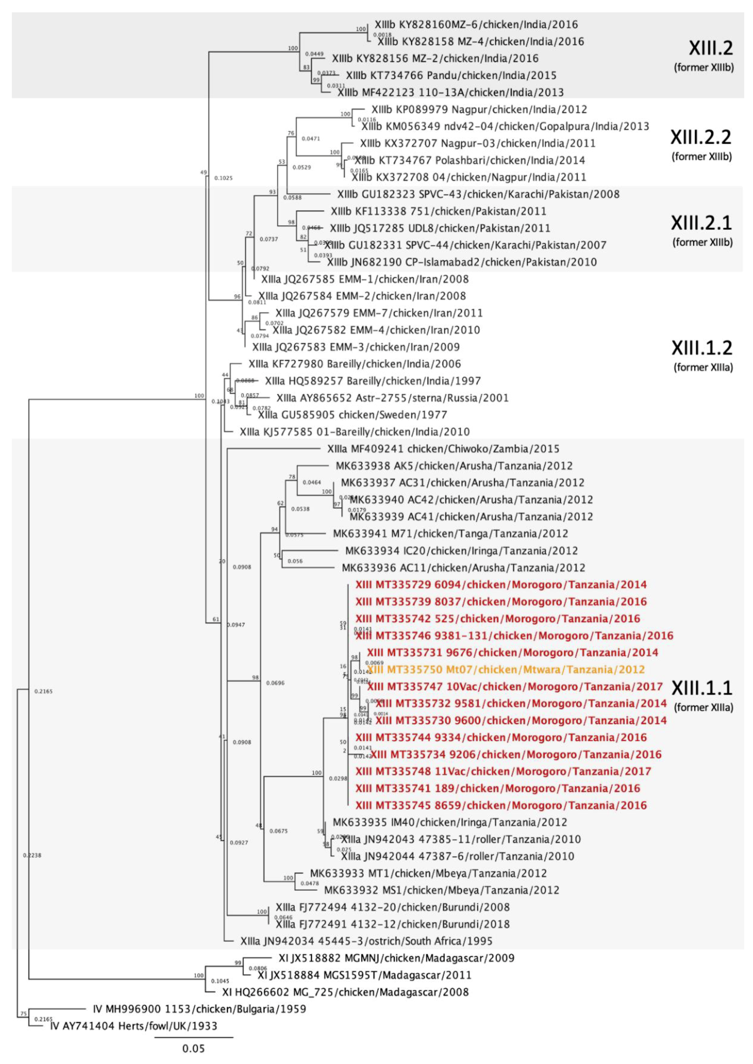 Viruses 12 00916 g005