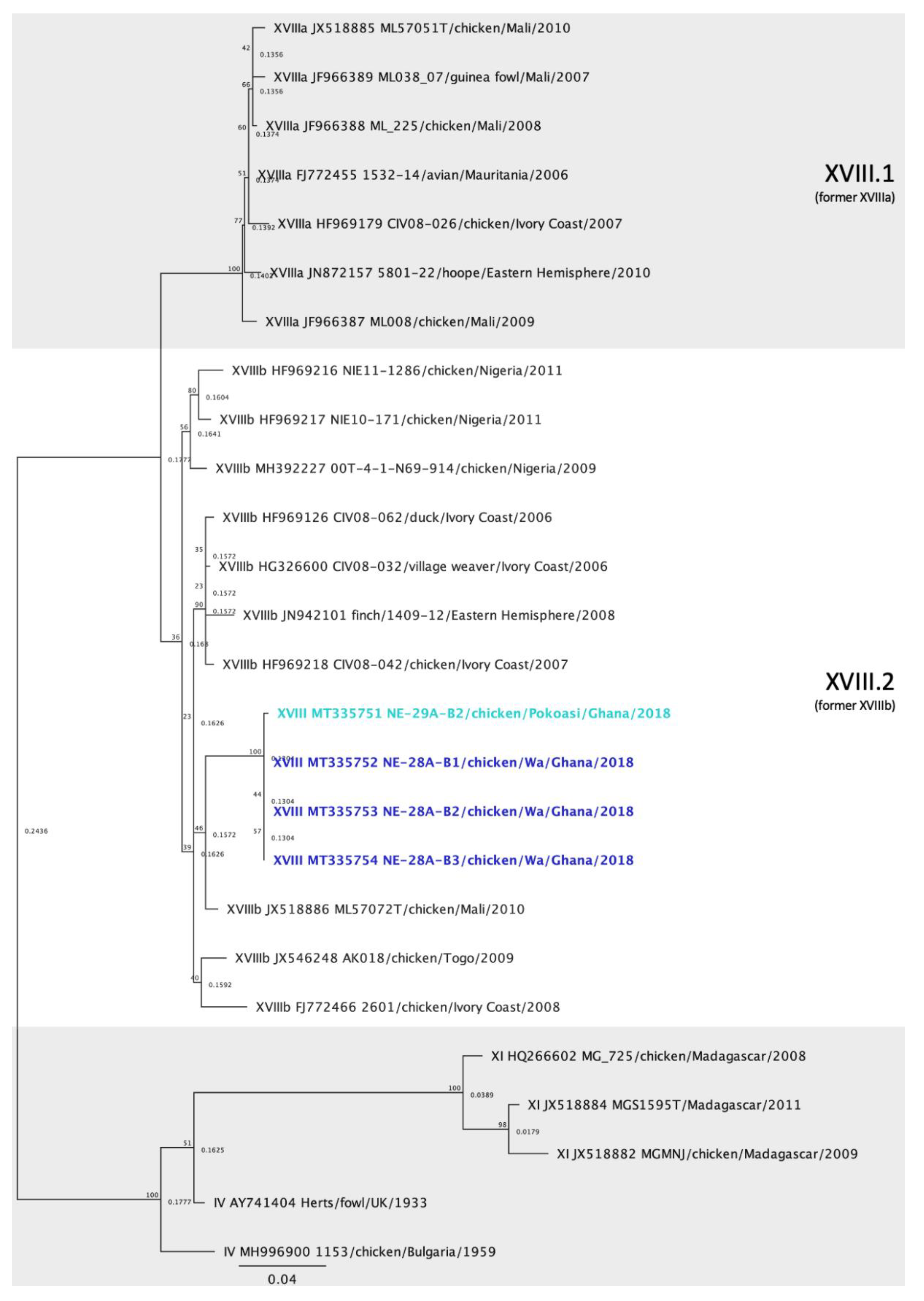 Viruses 12 00916 g006