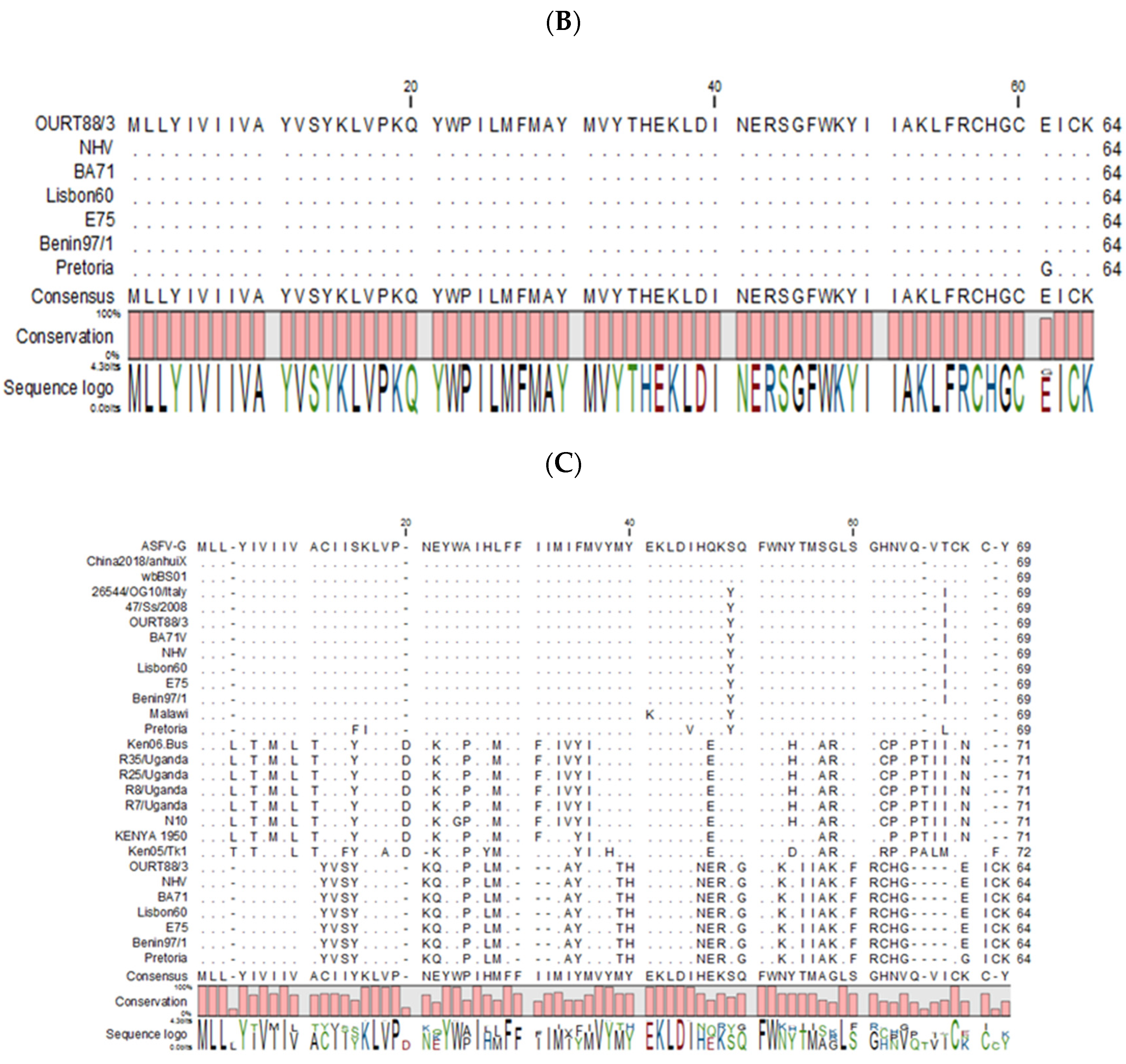 Viruses 12 00918 g001b