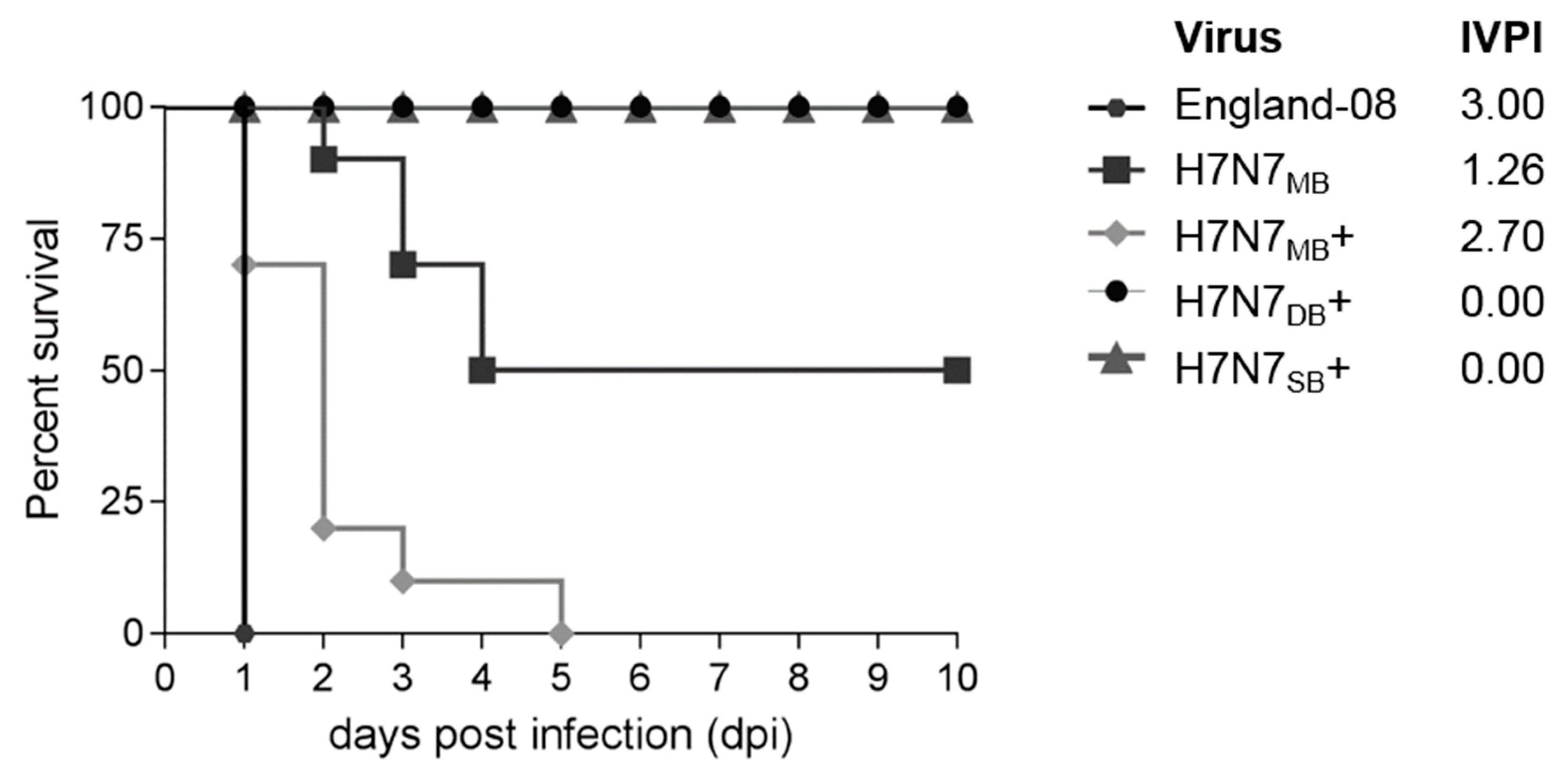 Viruses 12 00920 g002 Viruses 12 00920 g002
