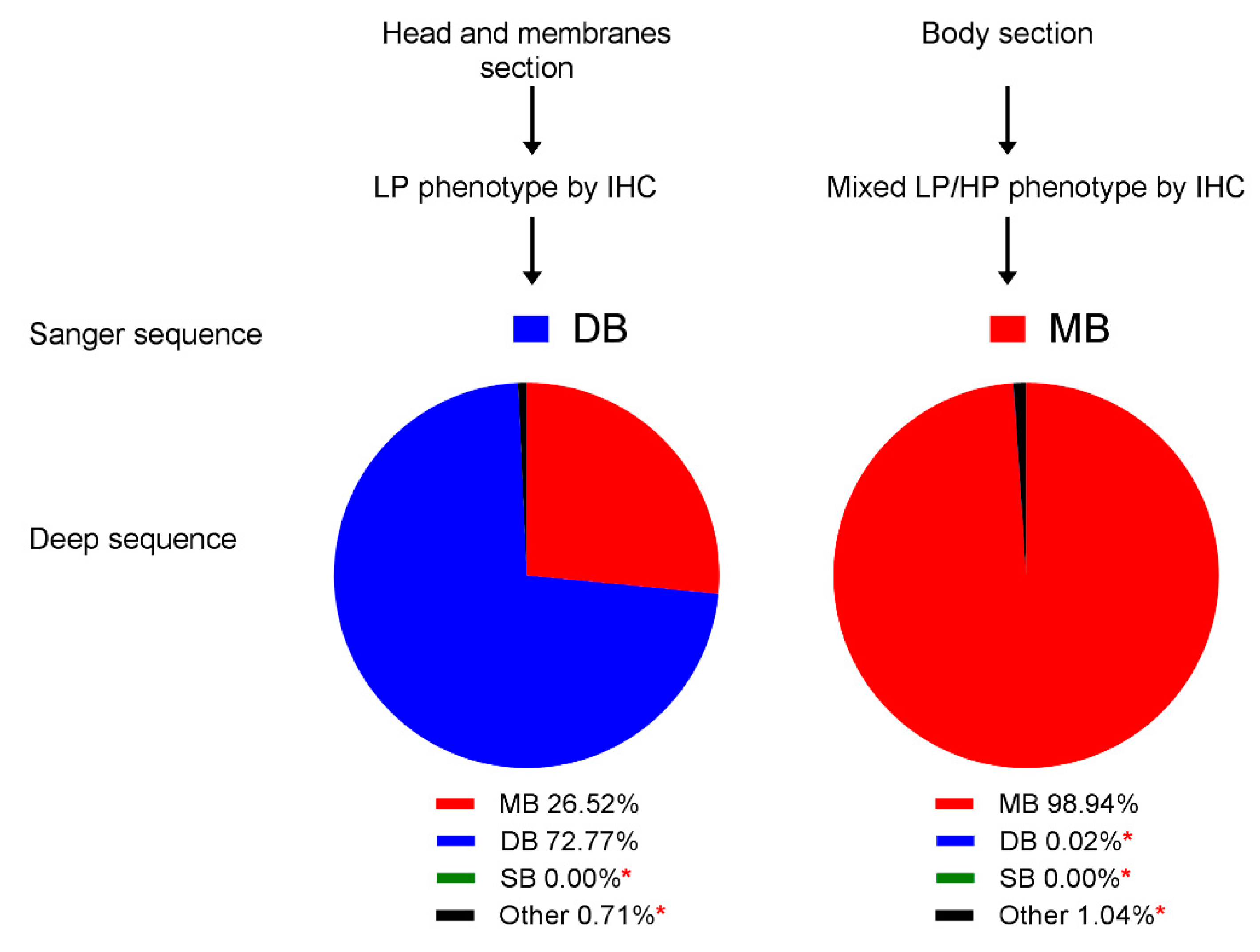 Viruses 12 00920 g006 Viruses 12 00920 g006