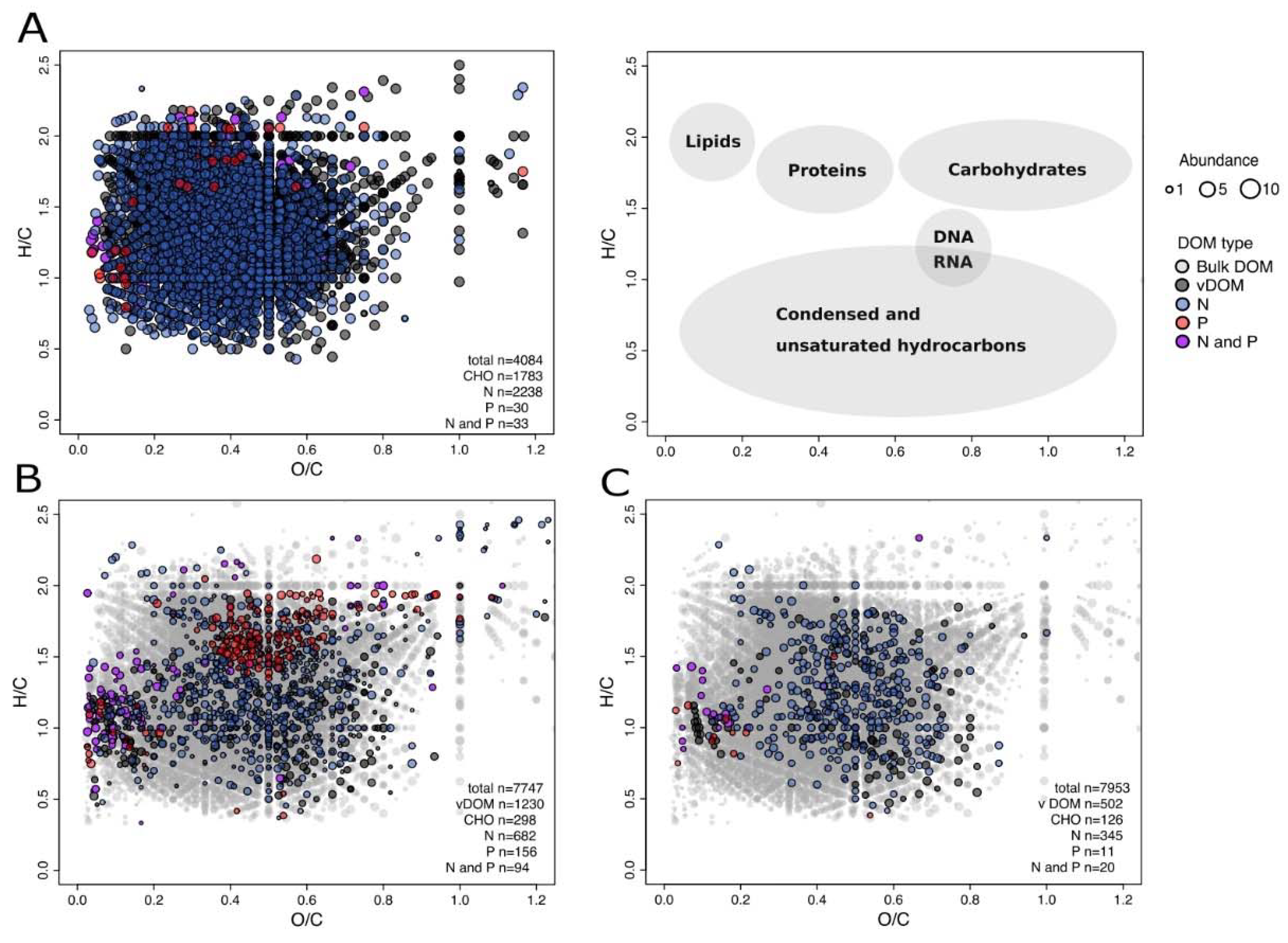 Viruses 12 00922 g004 Viruses 12 00922 g004
