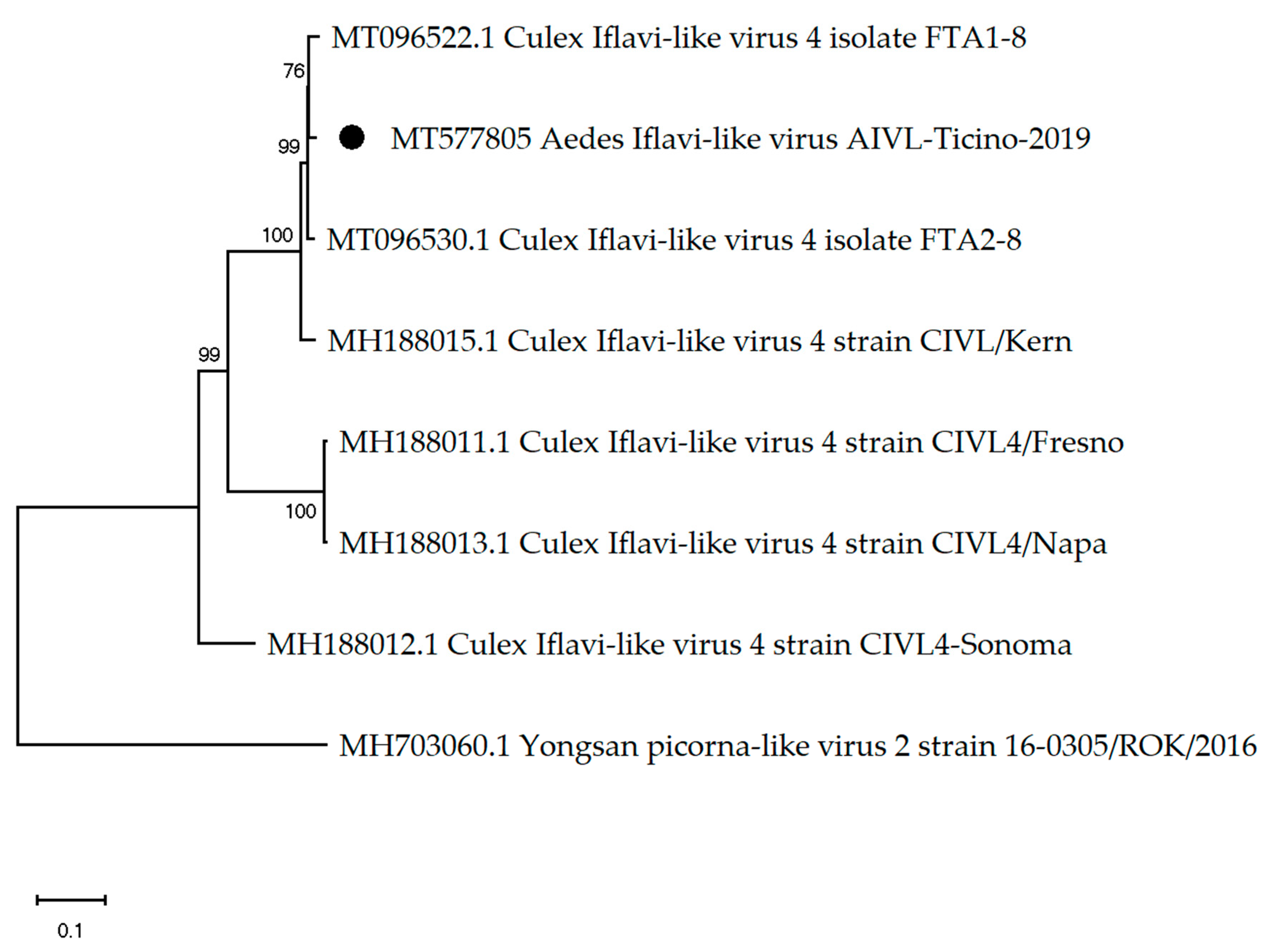 Viruses 12 00929 g003