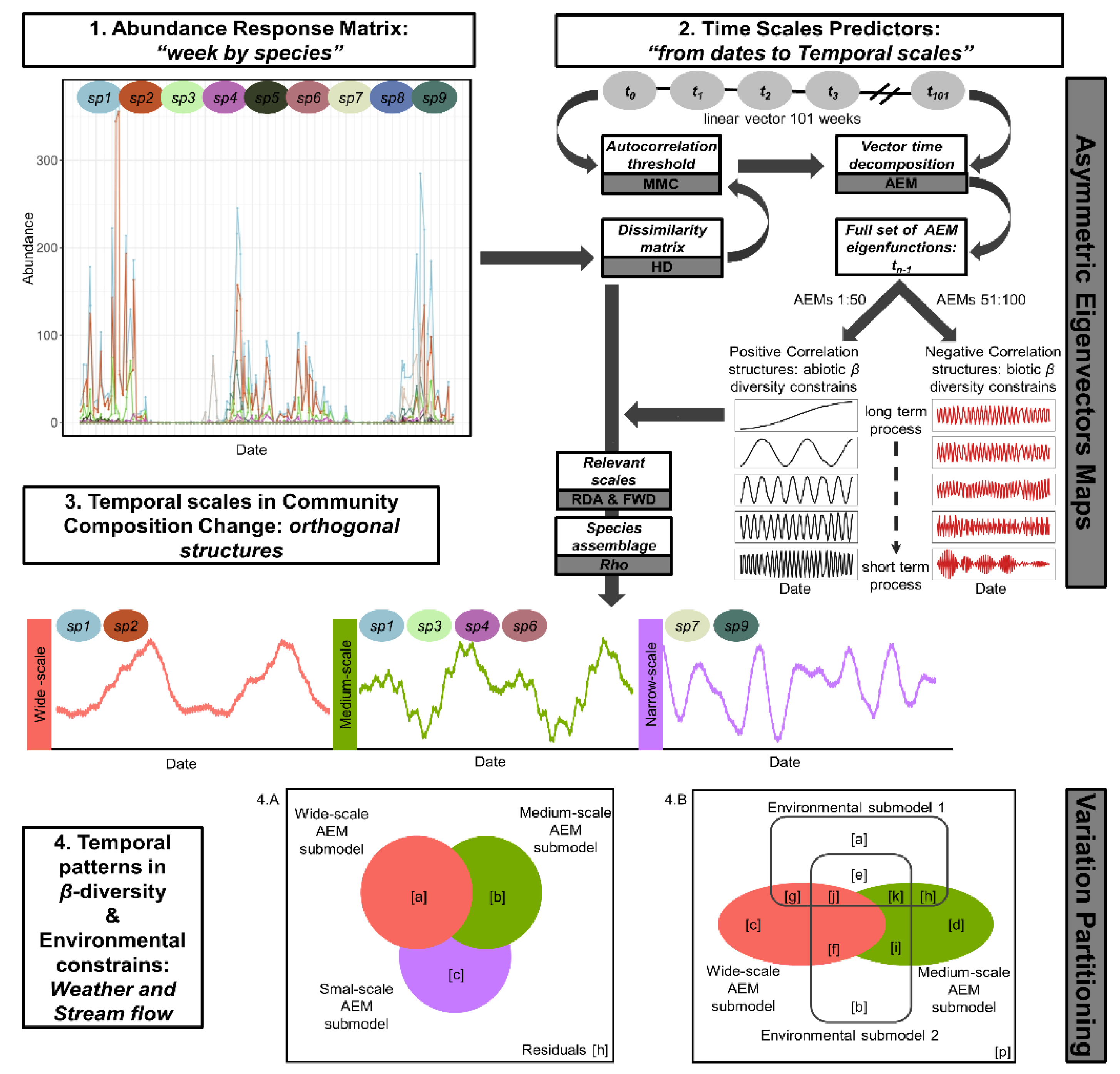 Viruses 12 00931 g001 Viruses 12 00931 g001