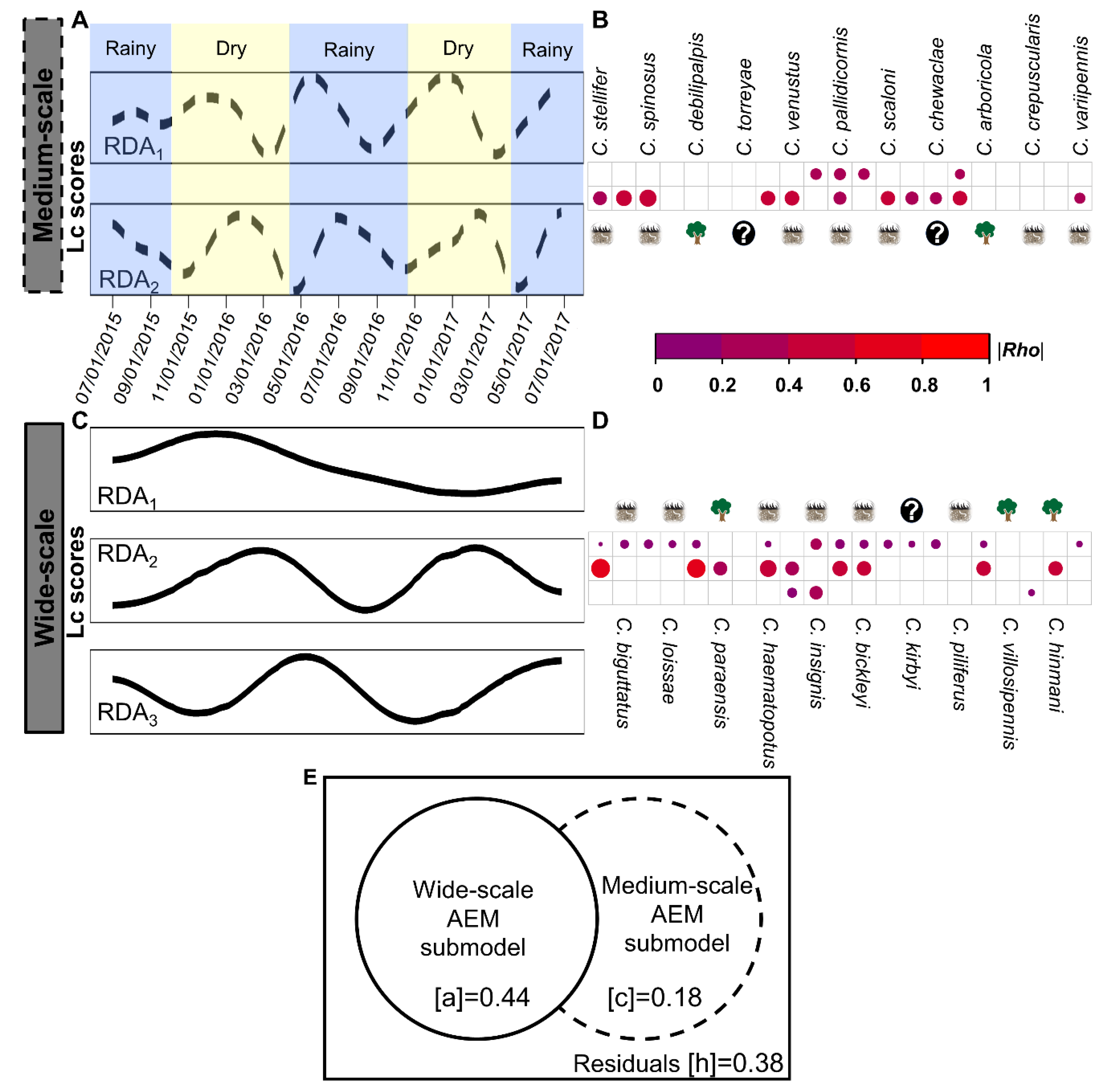 Viruses 12 00931 g002 Viruses 12 00931 g002