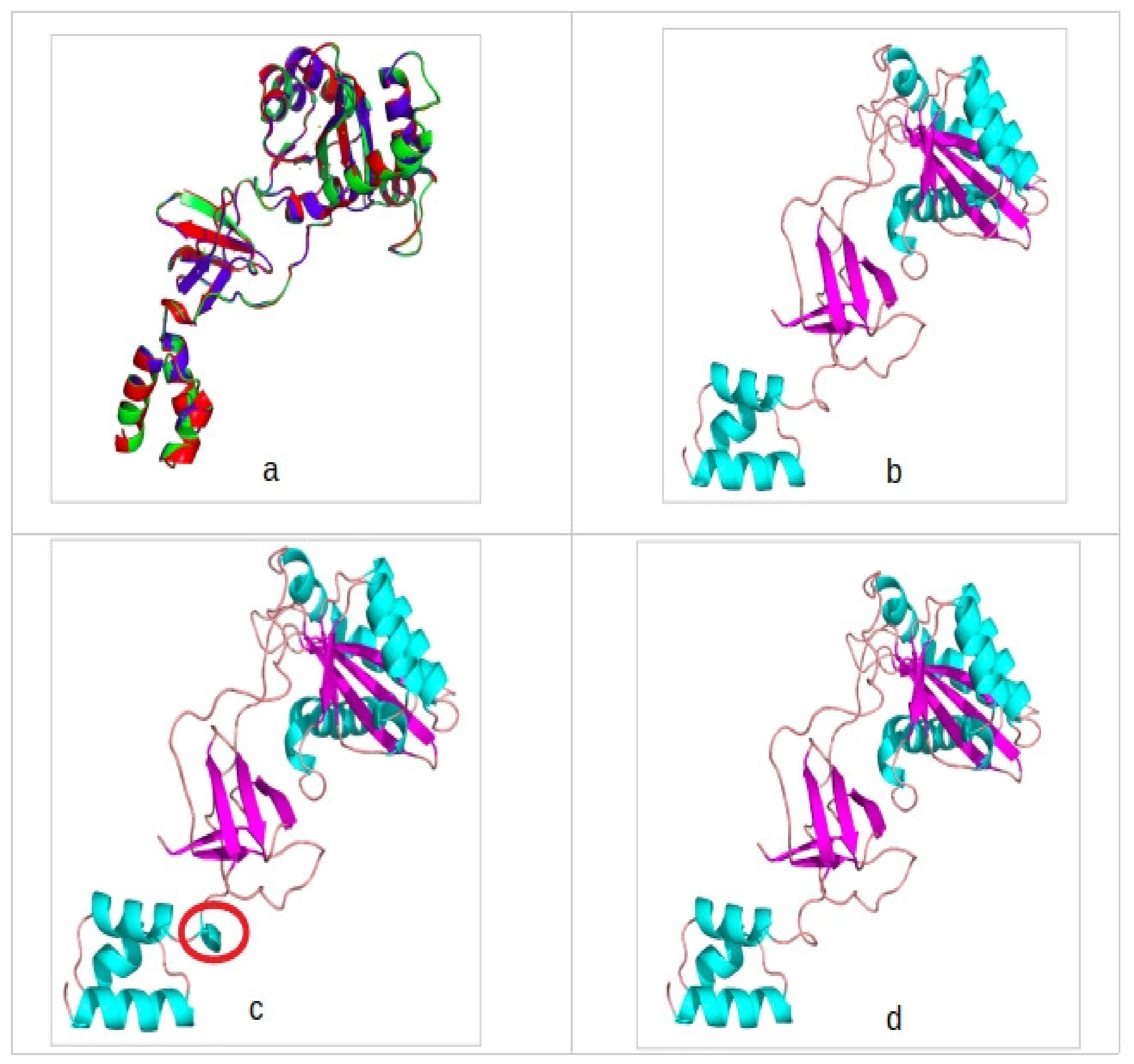 Viruses 12 00936 g002 Viruses 12 00936 g002