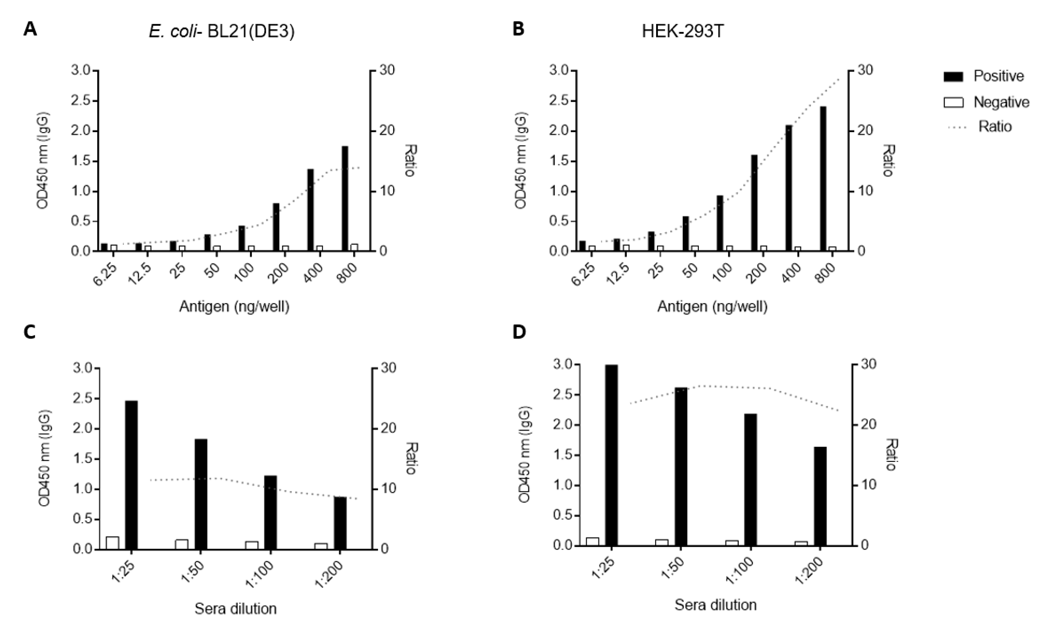 Viruses 12 00939 g003 Viruses 12 00939 g003