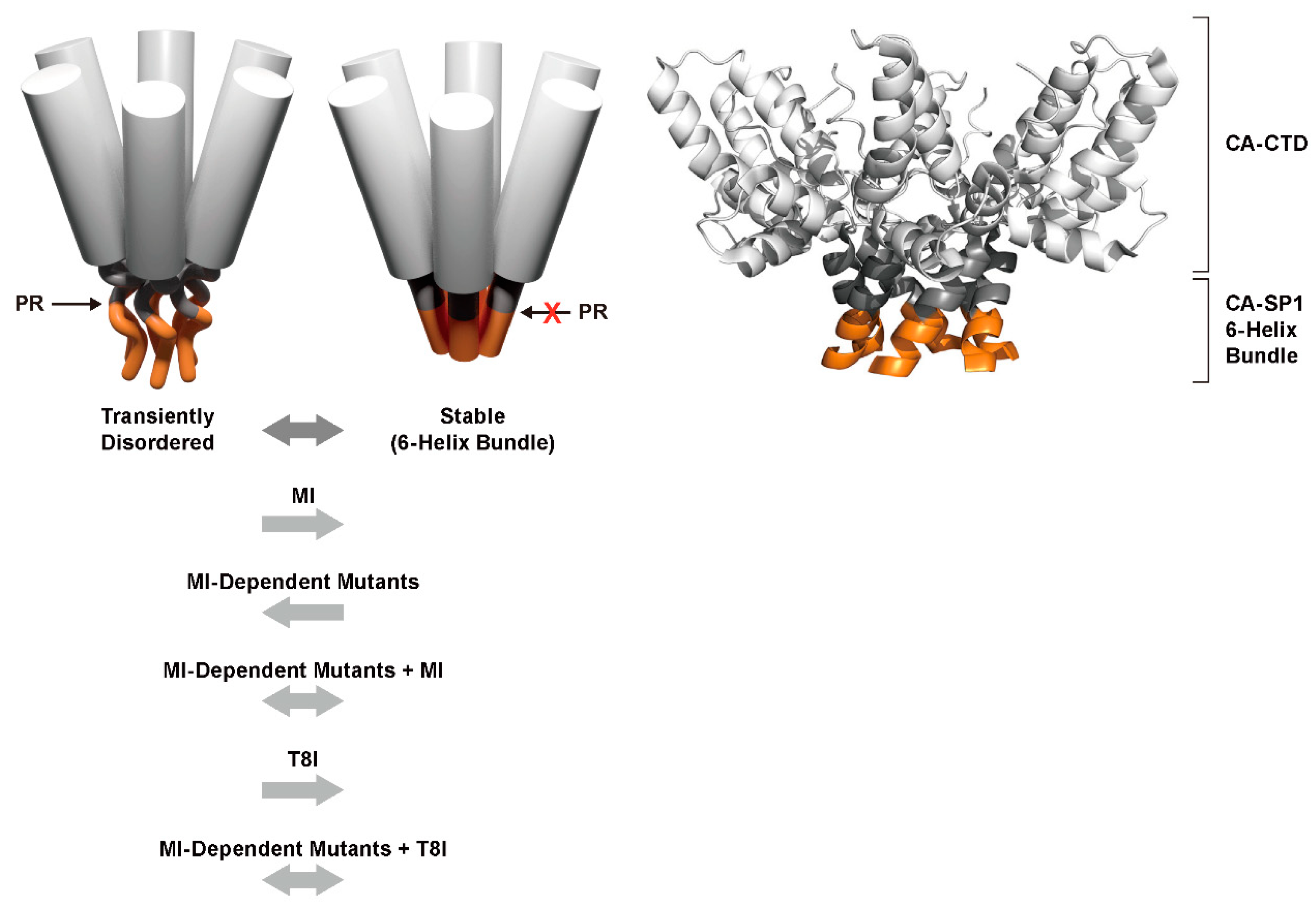 Viruses 12 00940 g005