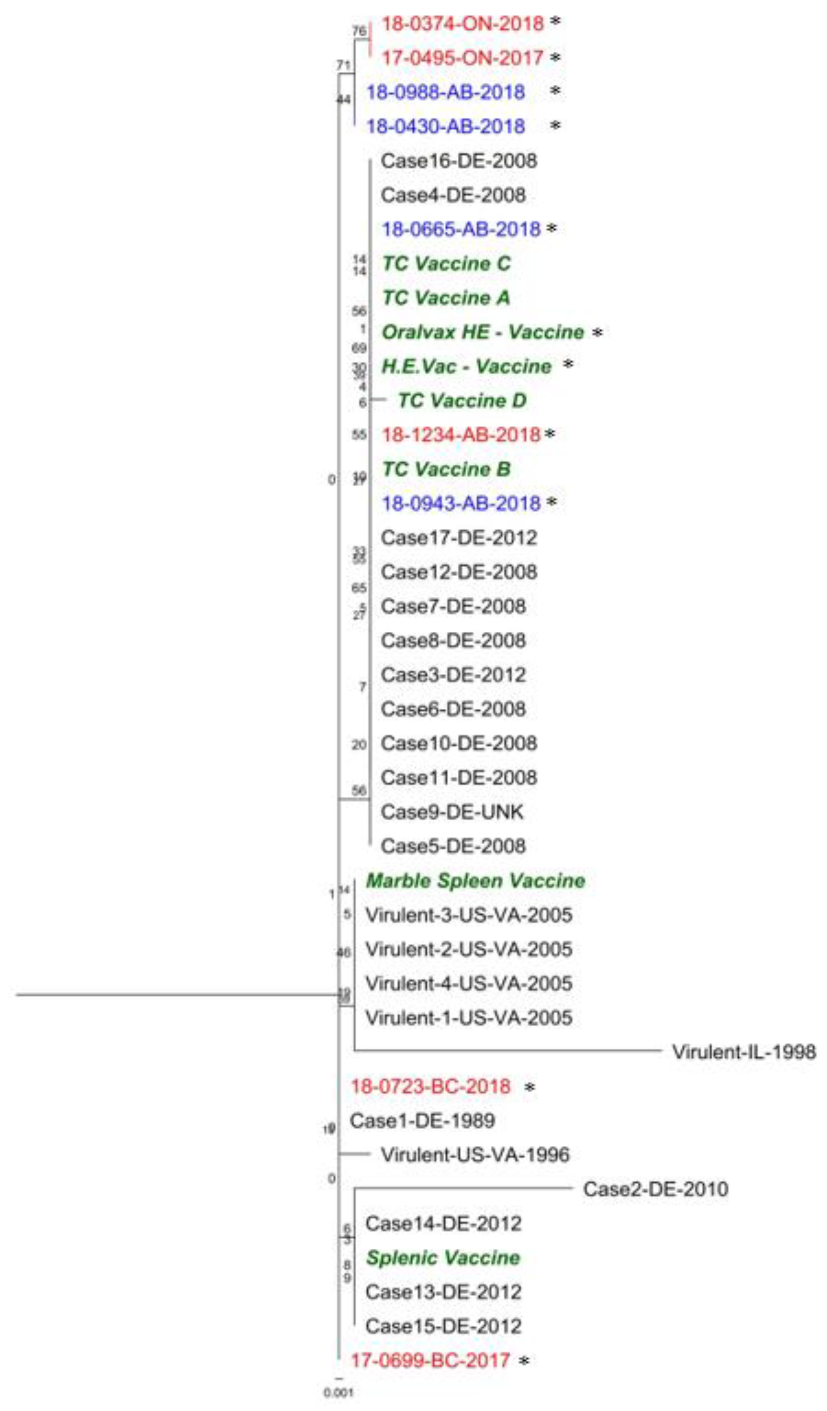 Viruses 12 00941 g003 Viruses 12 00941 g003