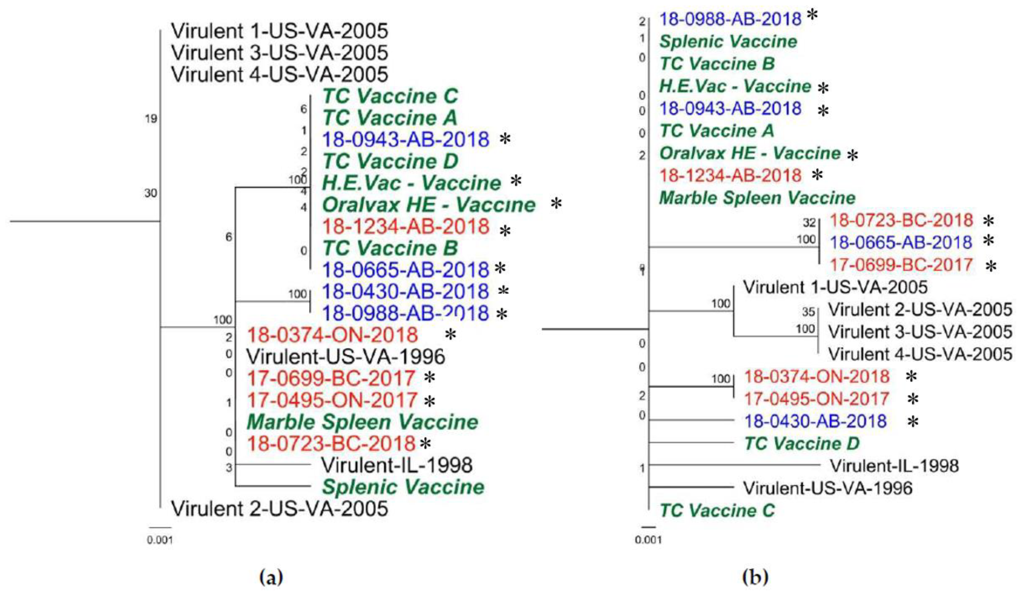 Viruses 12 00941 g004 Viruses 12 00941 g004