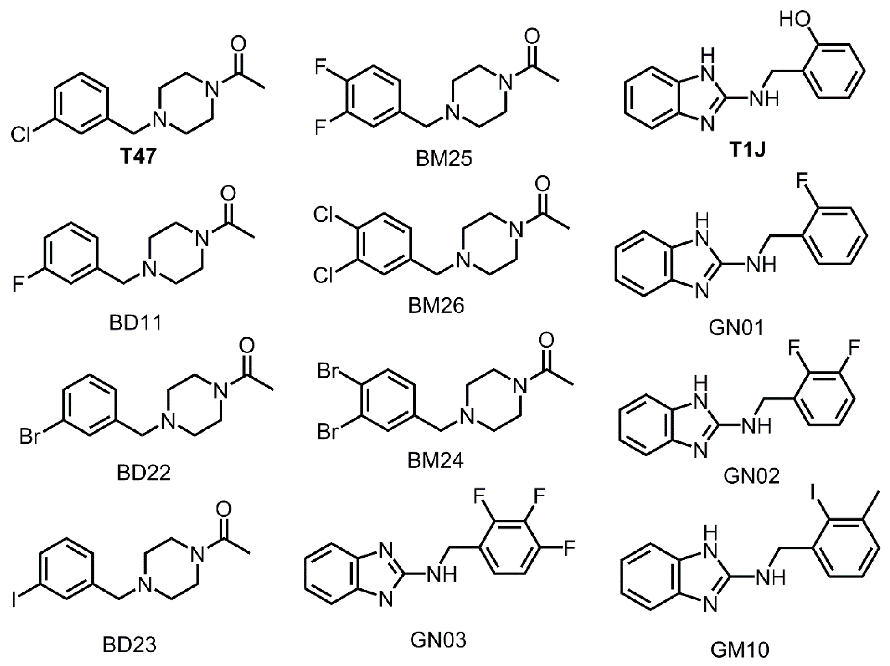 Viruses 12 00942 g005 Viruses 12 00942 g005