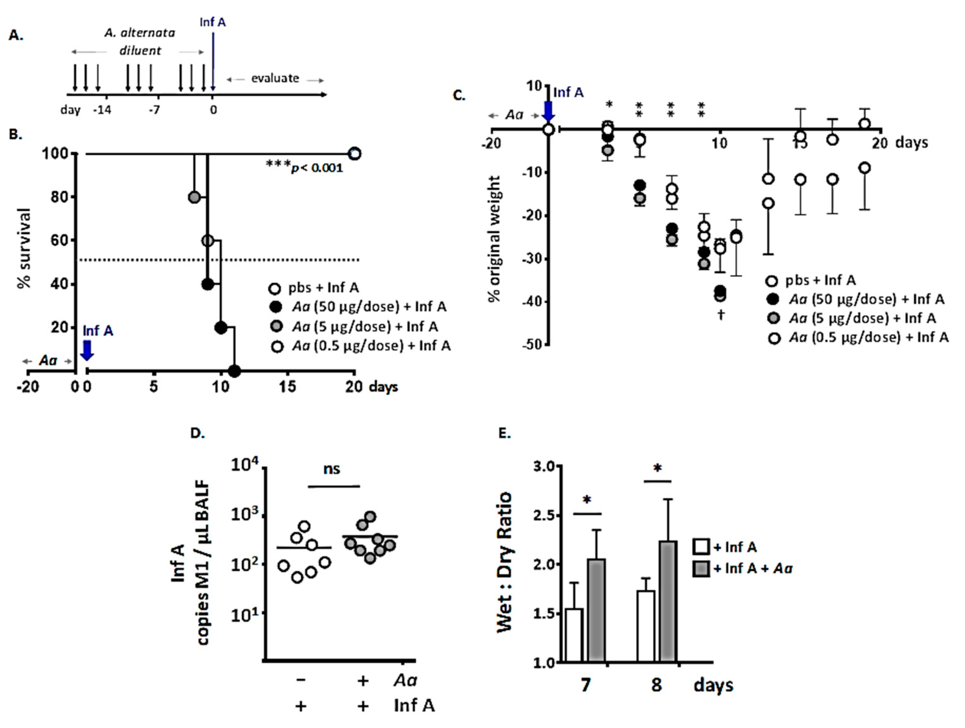 Viruses 12 00946 g001 Viruses 12 00946 g001