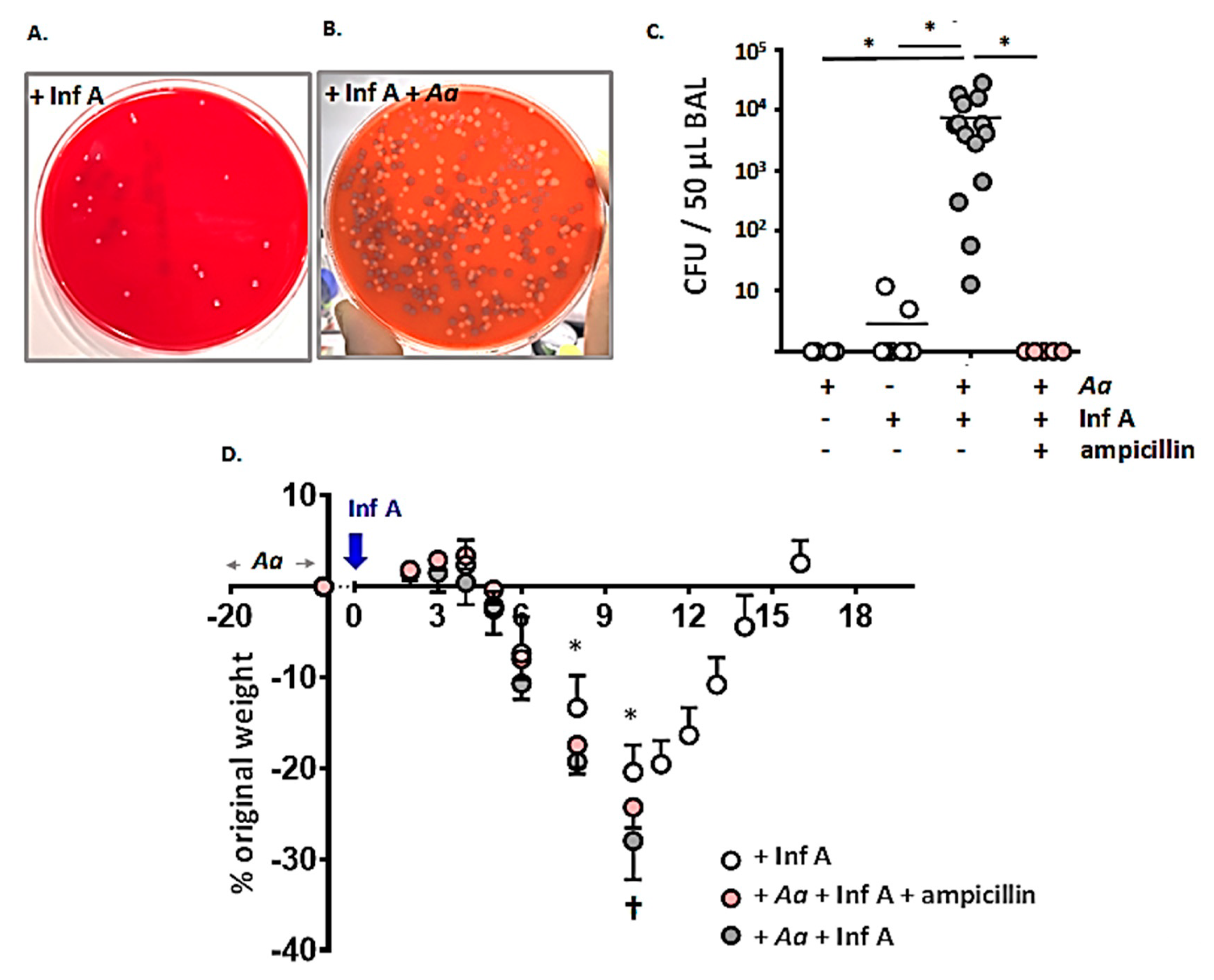 Viruses 12 00946 g004 Viruses 12 00946 g004