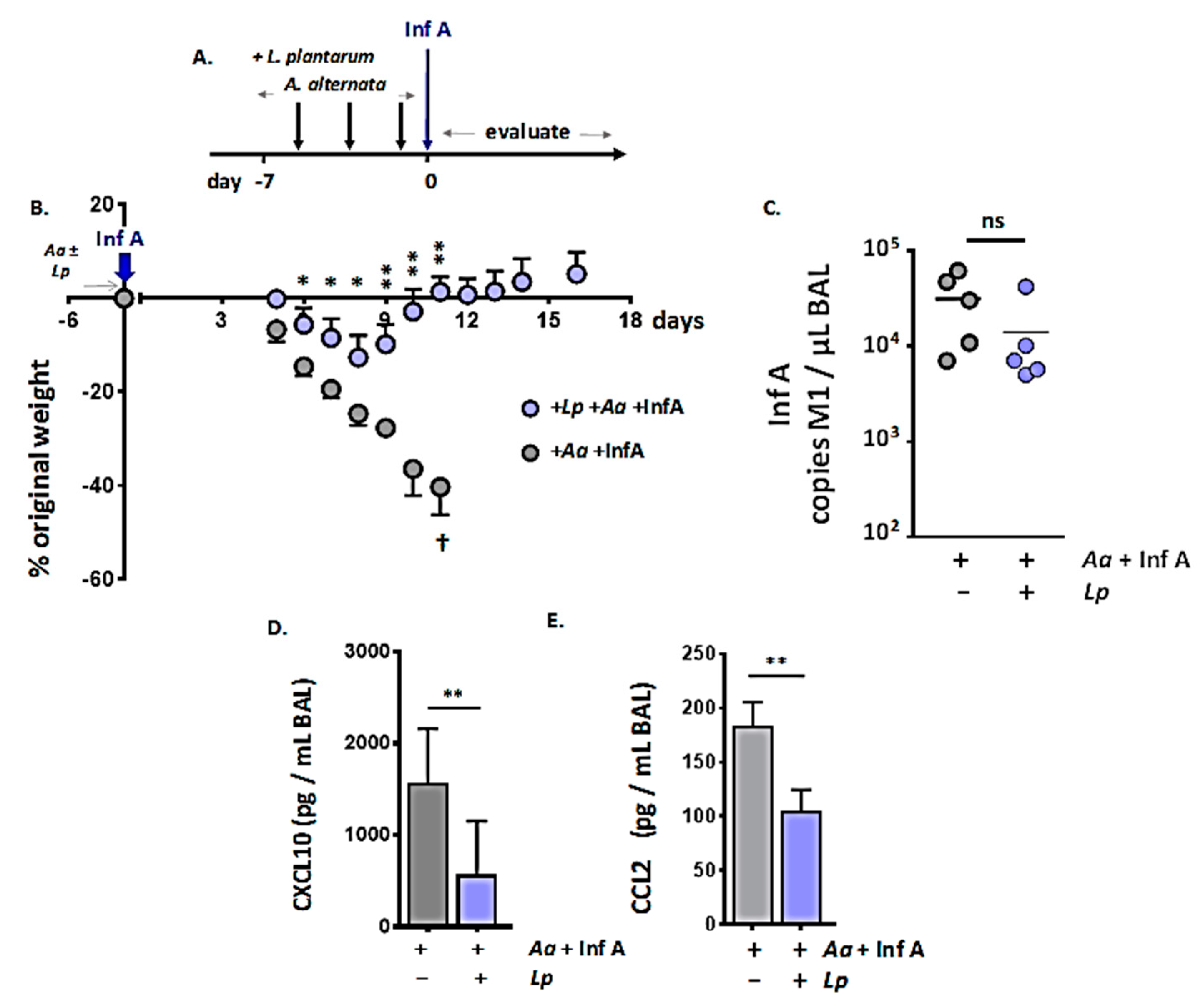 Viruses 12 00946 g005 Viruses 12 00946 g005