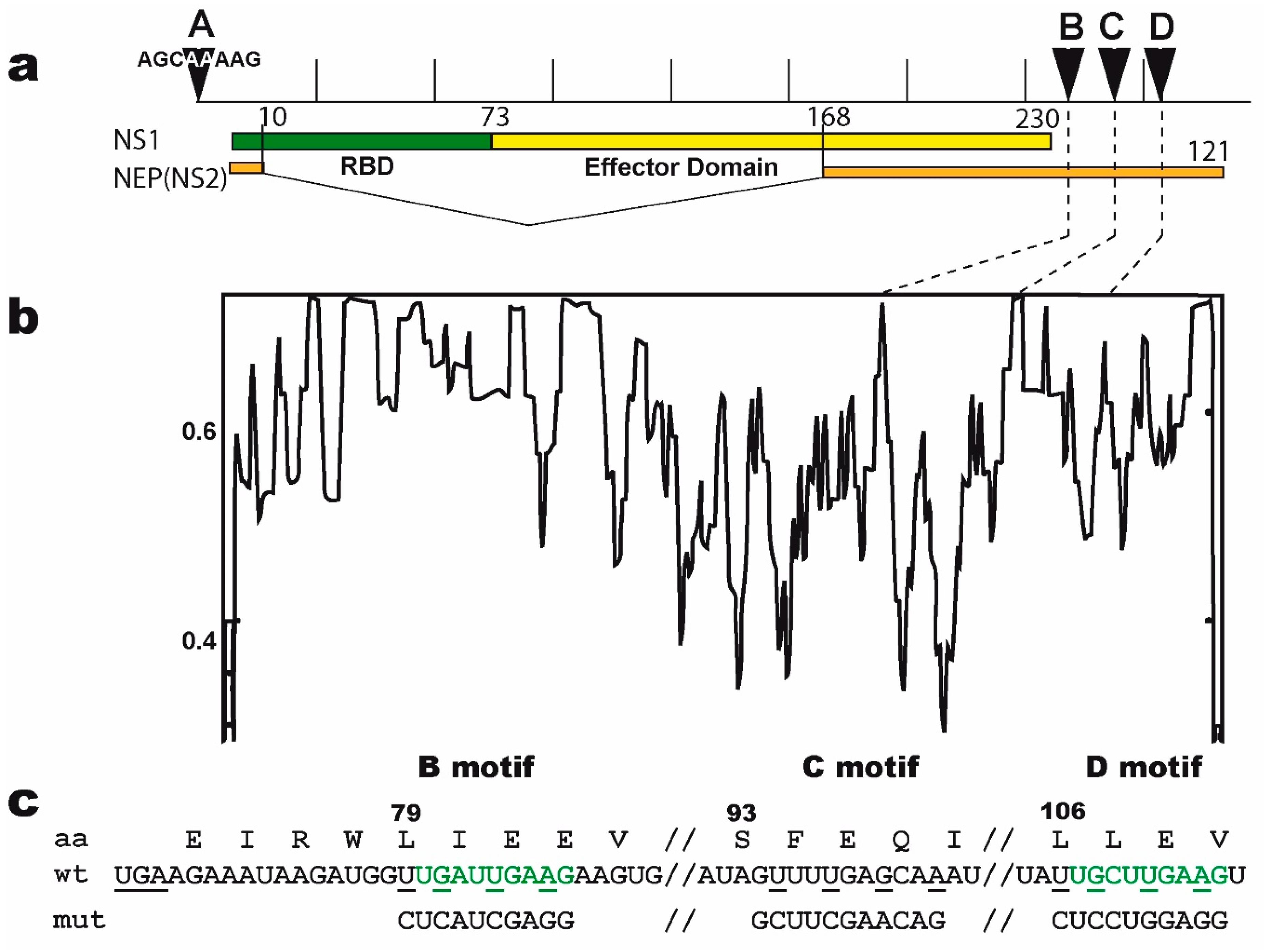 Viruses 12 00947 g001 Viruses 12 00947 g001