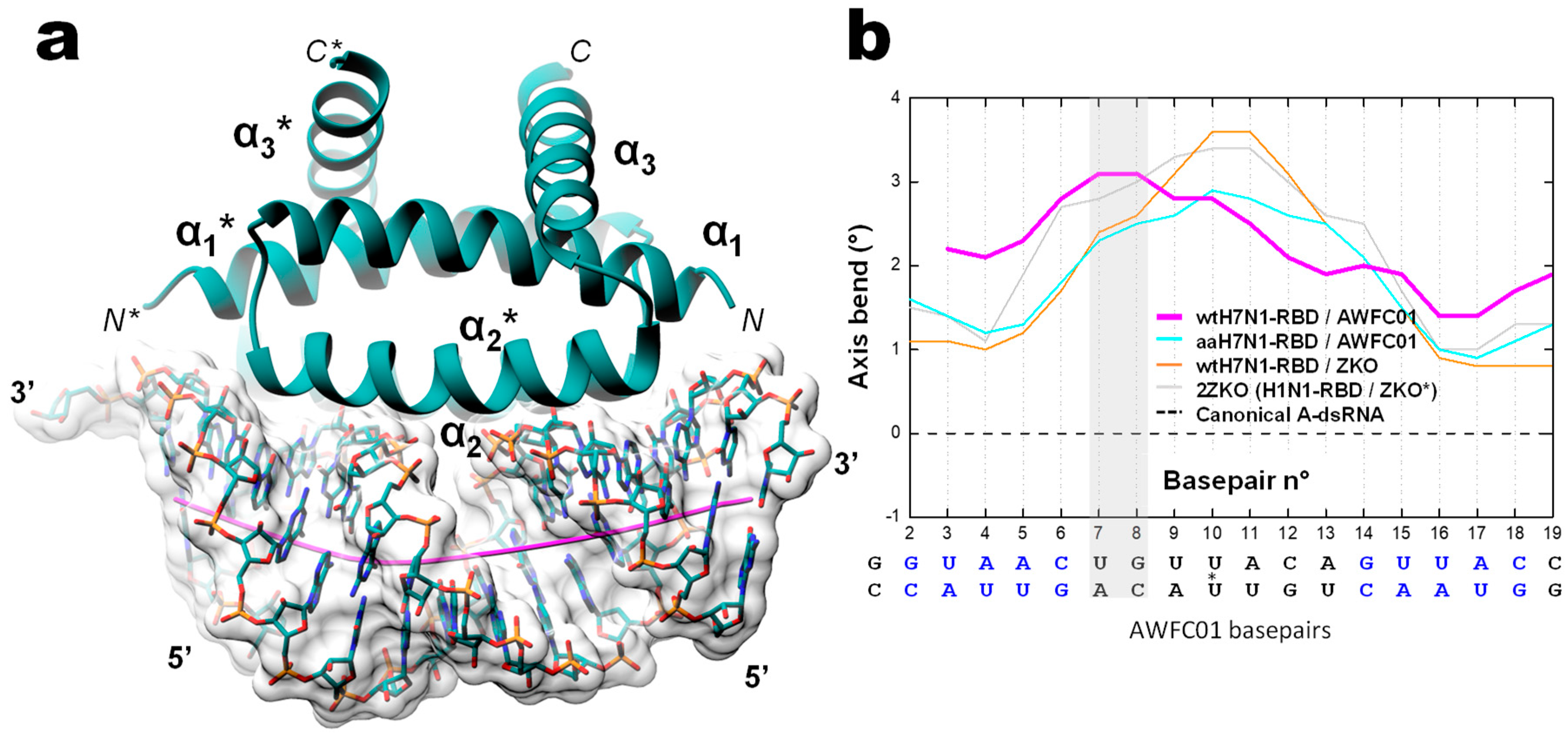 Viruses 12 00947 g010 Viruses 12 00947 g010