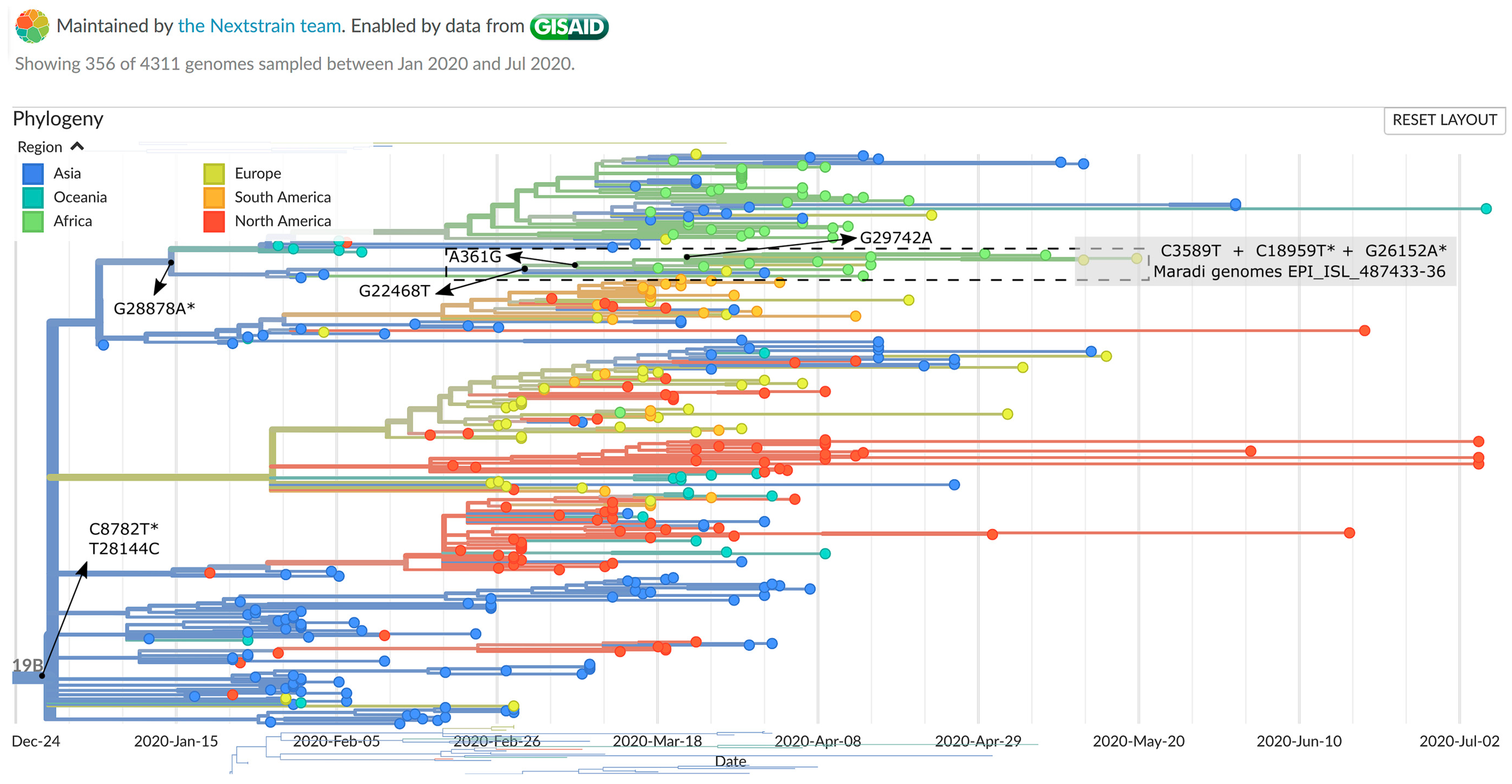 Viruses 12 00949 g002 Viruses 12 00949 g002