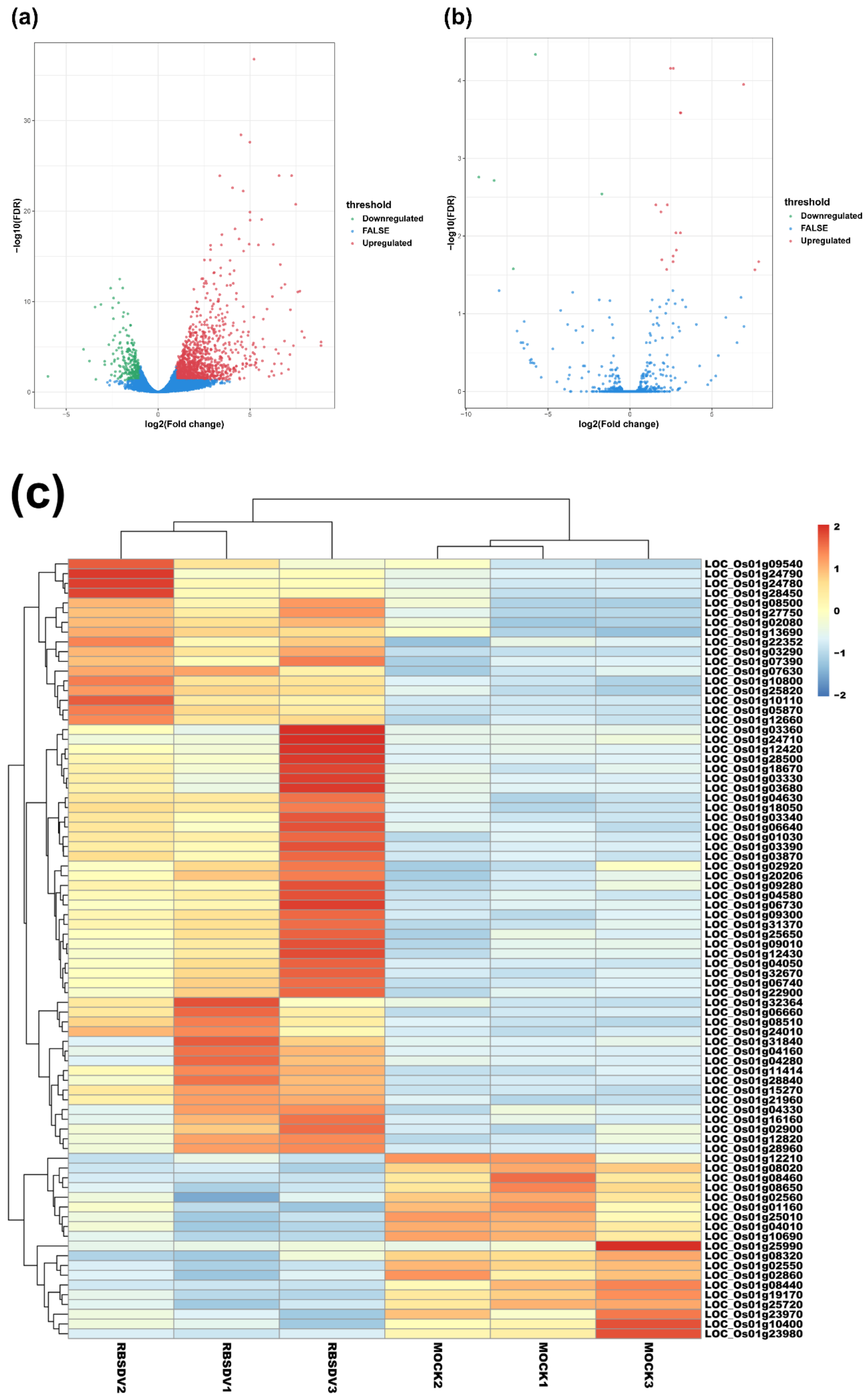 Viruses 12 00951 g001a Viruses 12 00951 g001a