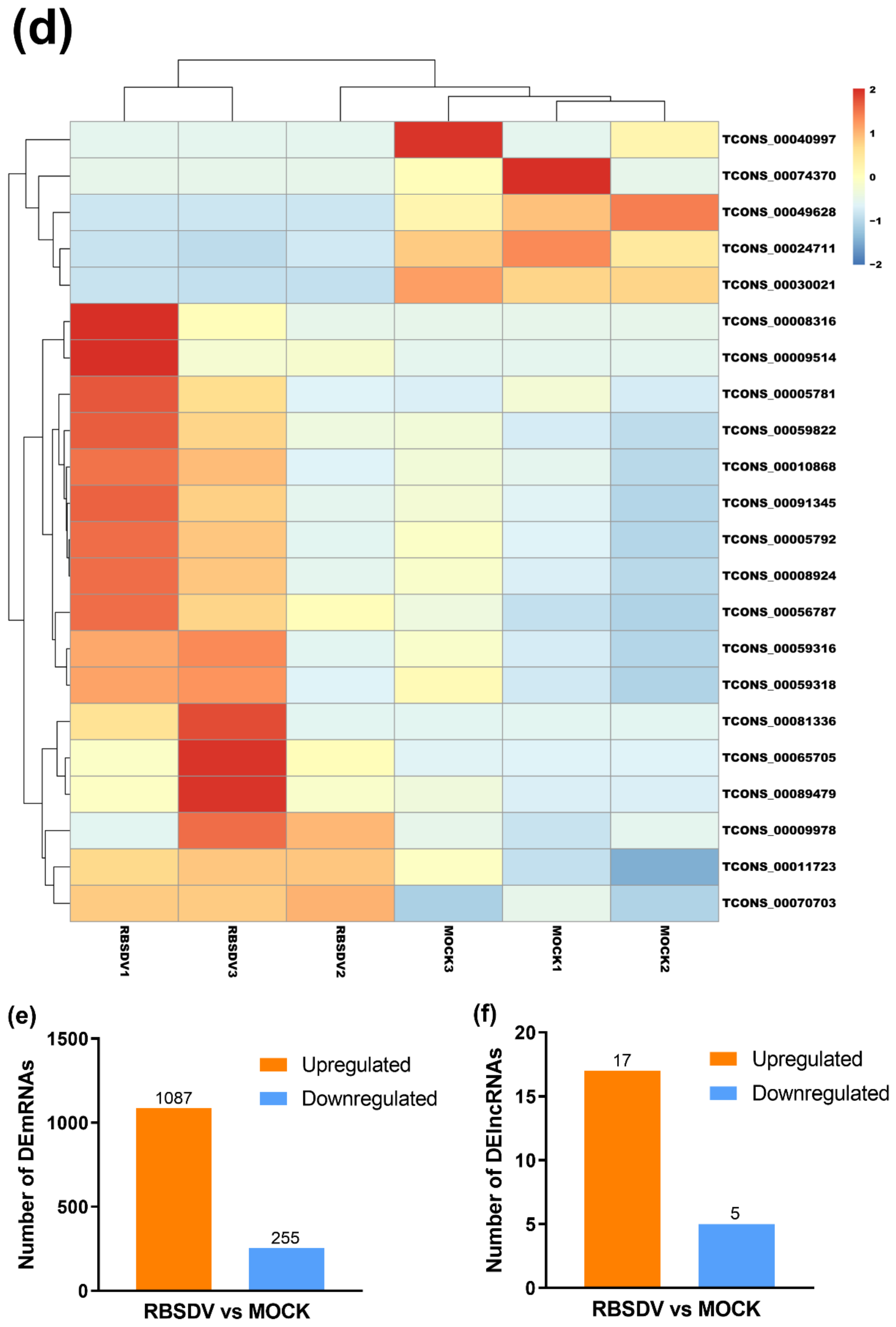 Viruses 12 00951 g001b Viruses 12 00951 g001b