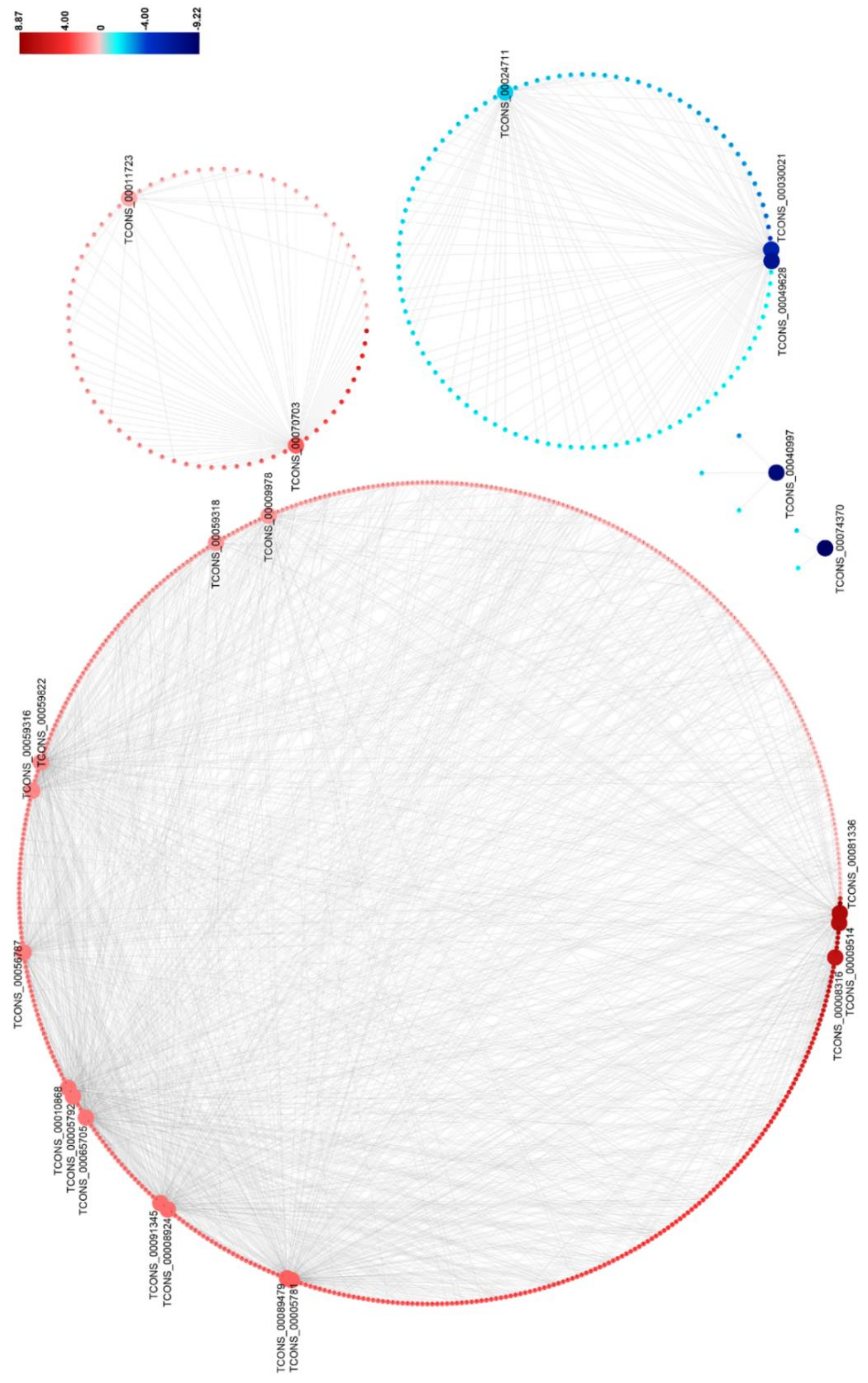 Viruses 12 00951 g005 Viruses 12 00951 g005