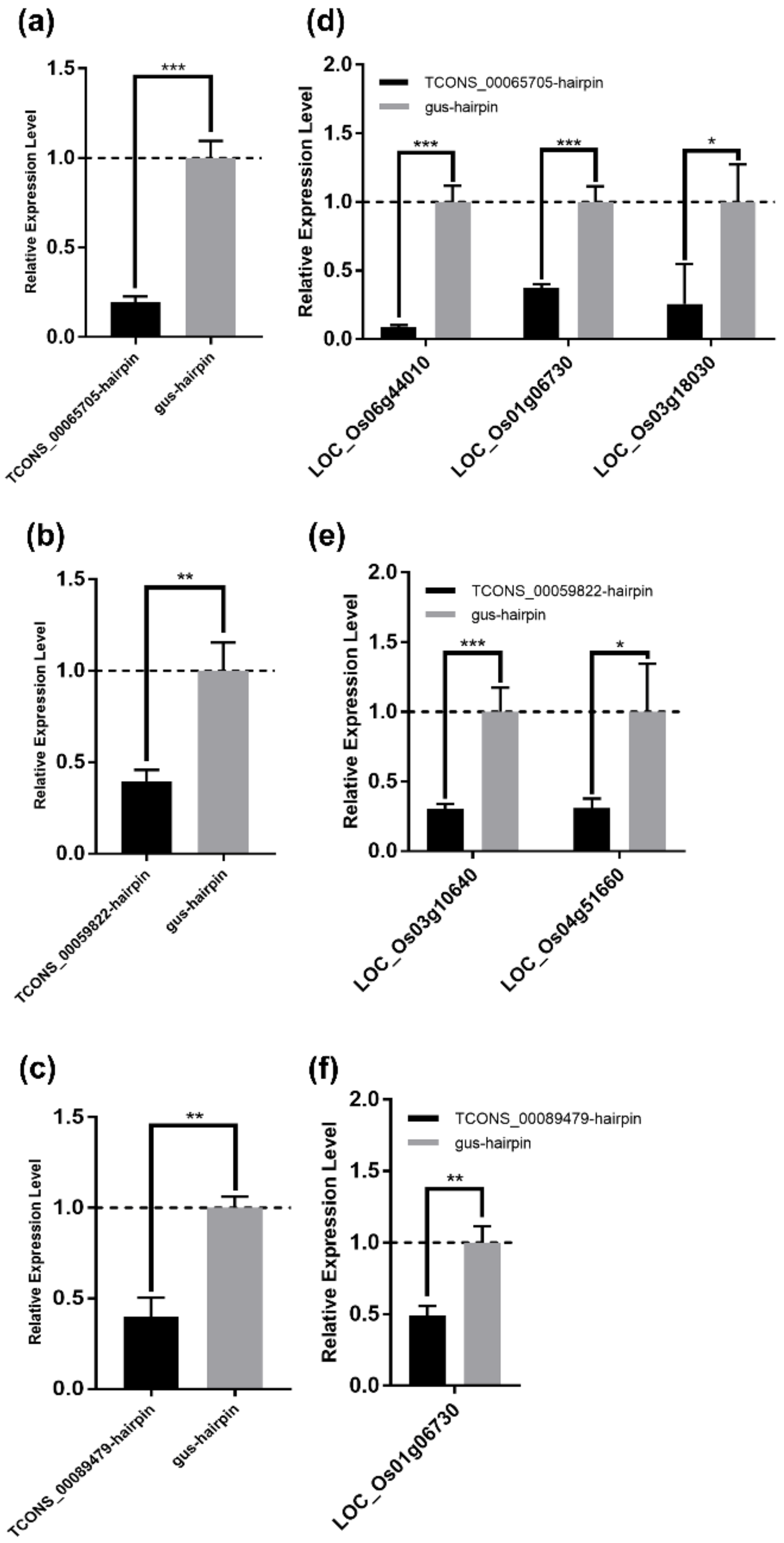 Viruses 12 00951 g008 Viruses 12 00951 g008