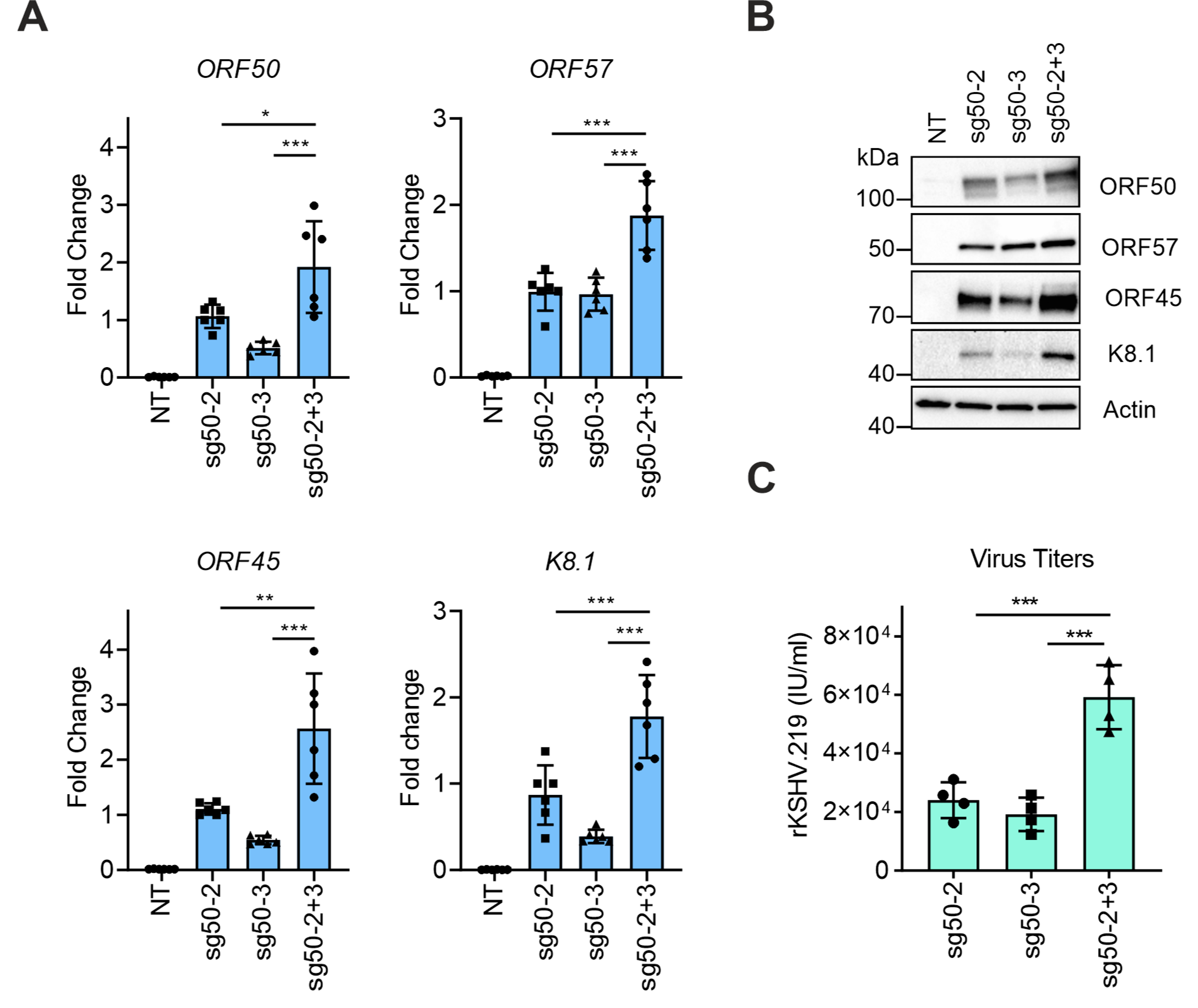 Viruses 12 00952 g003