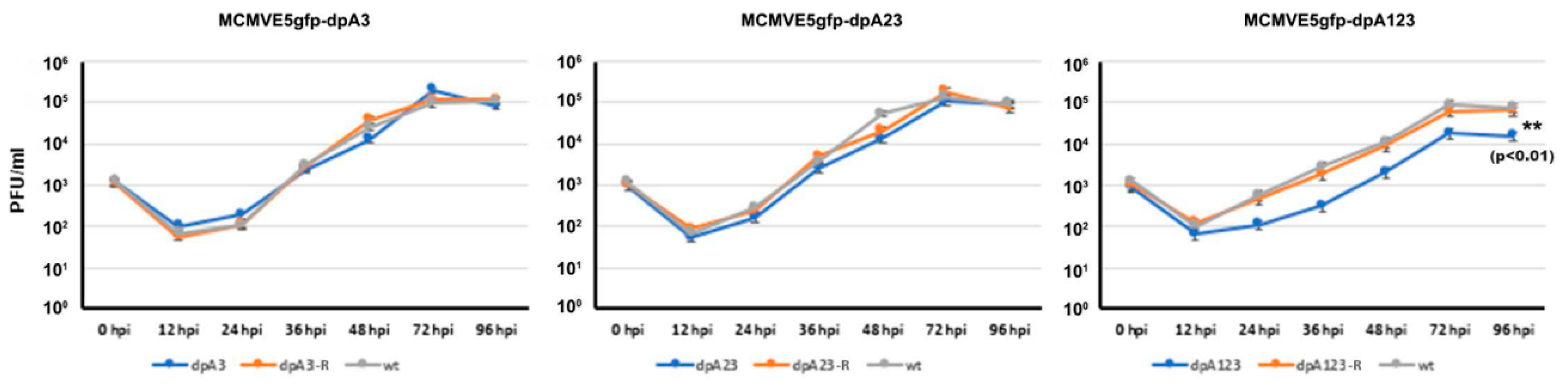 Viruses 12 00954 g006
