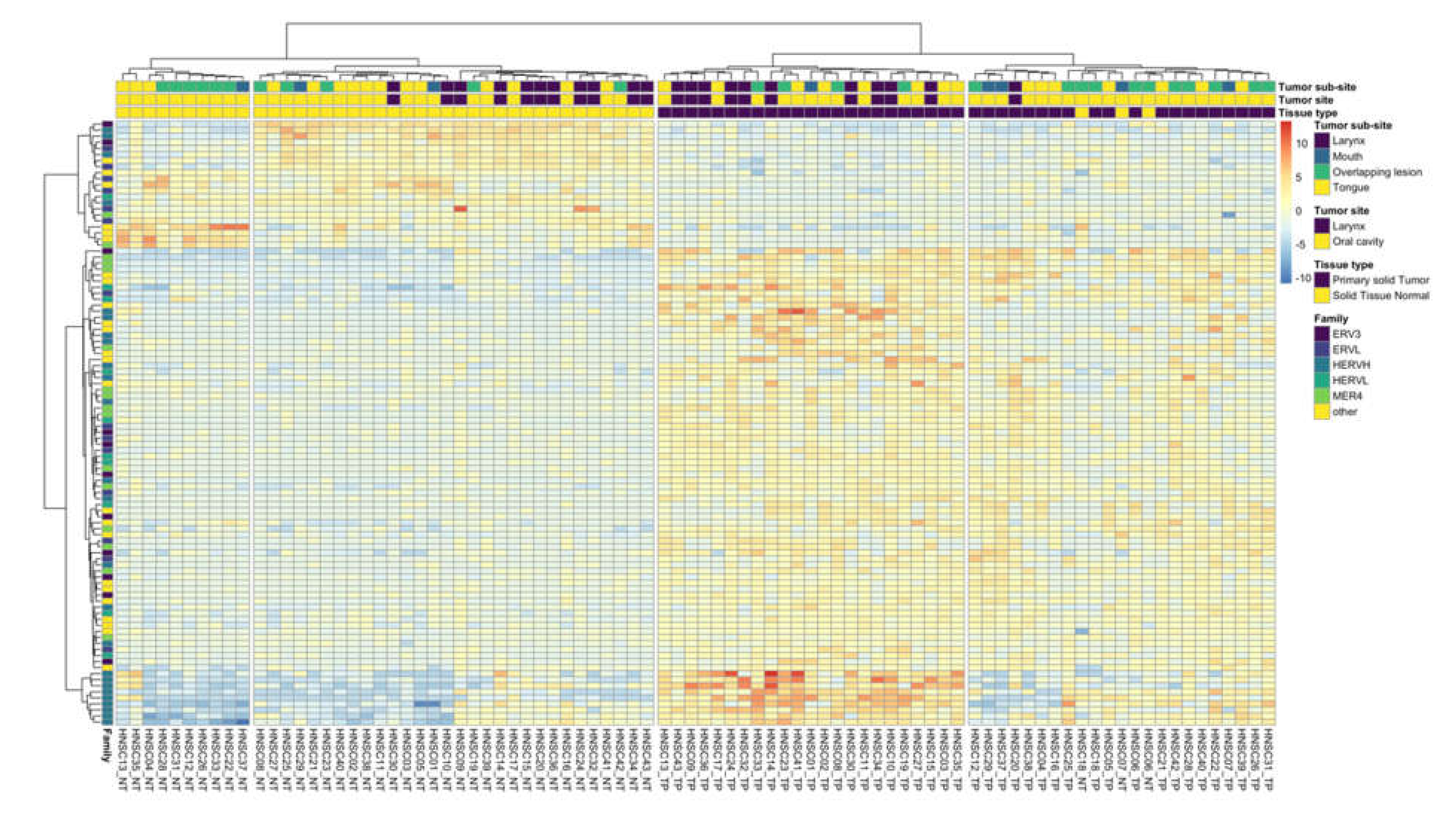 Viruses 12 00956 g002 Viruses 12 00956 g002