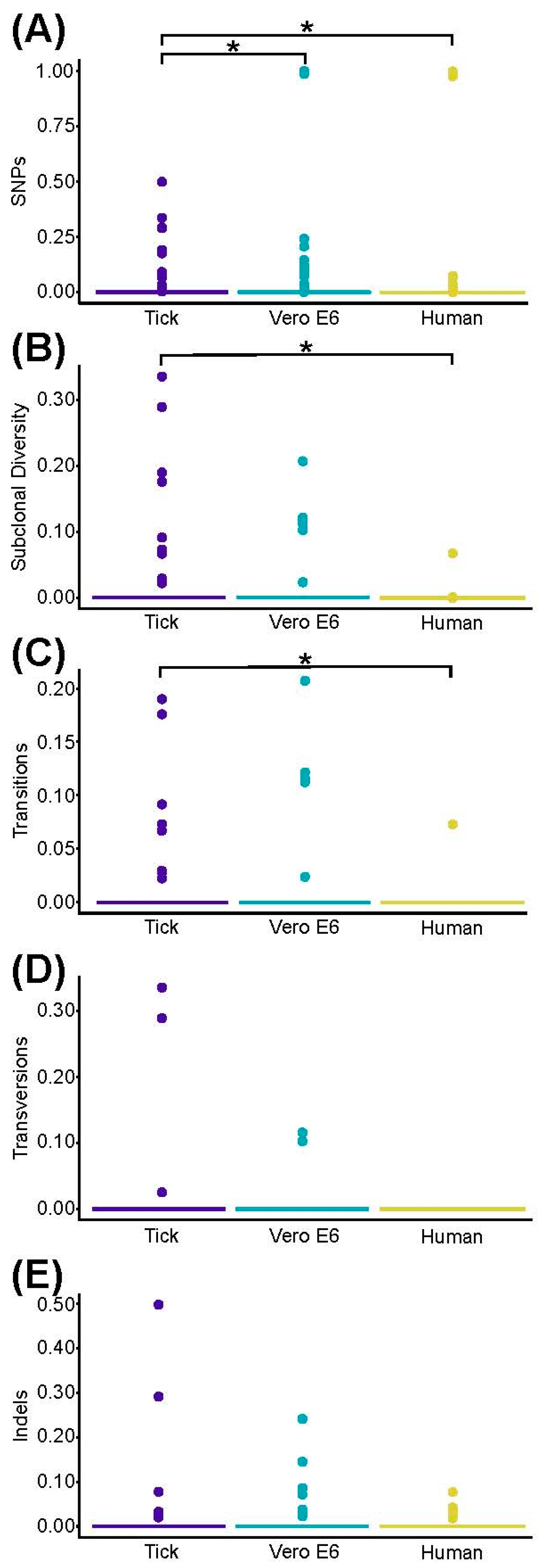 Viruses 12 00958 g005