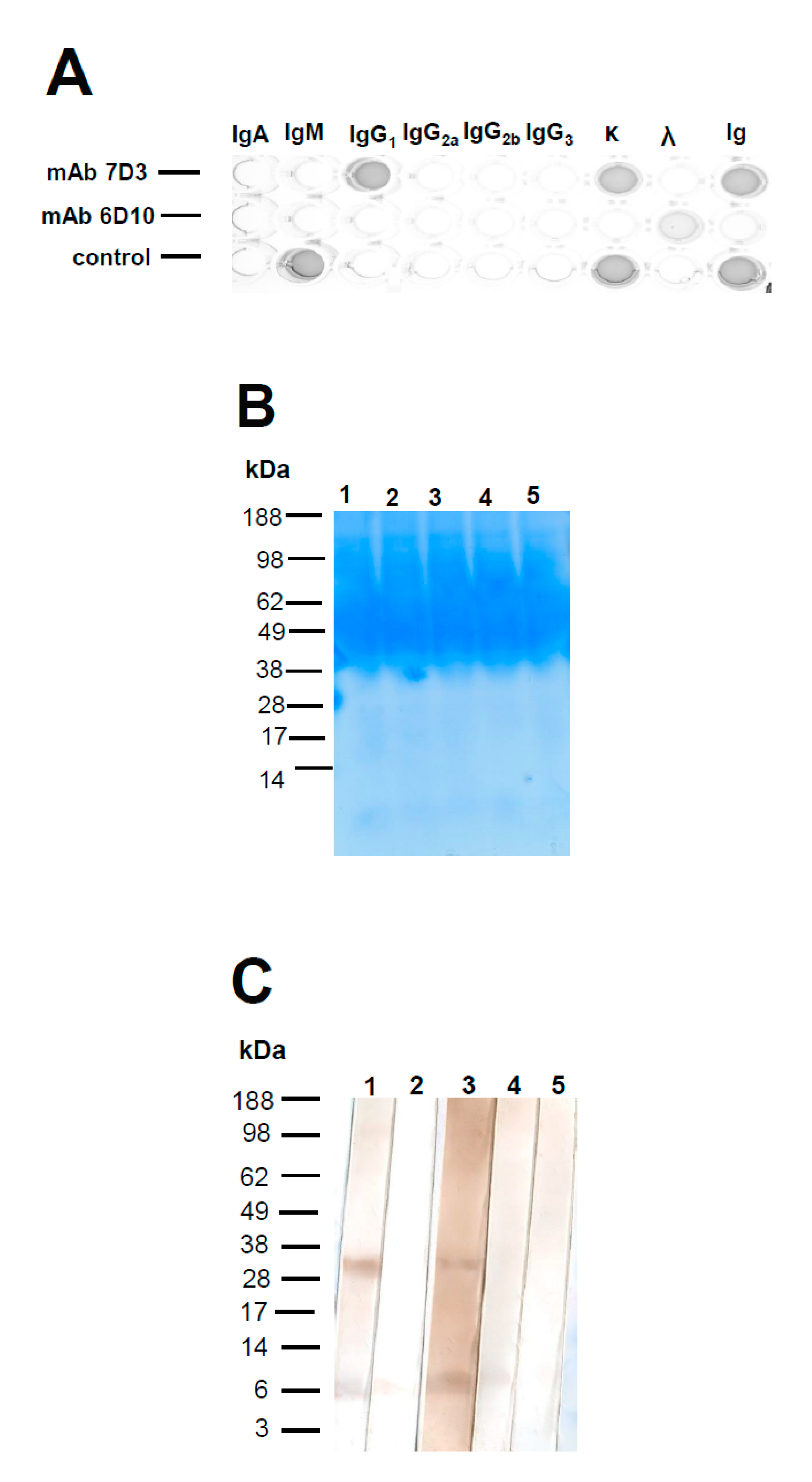 Viruses 12 00961 g001 Viruses 12 00961 g001