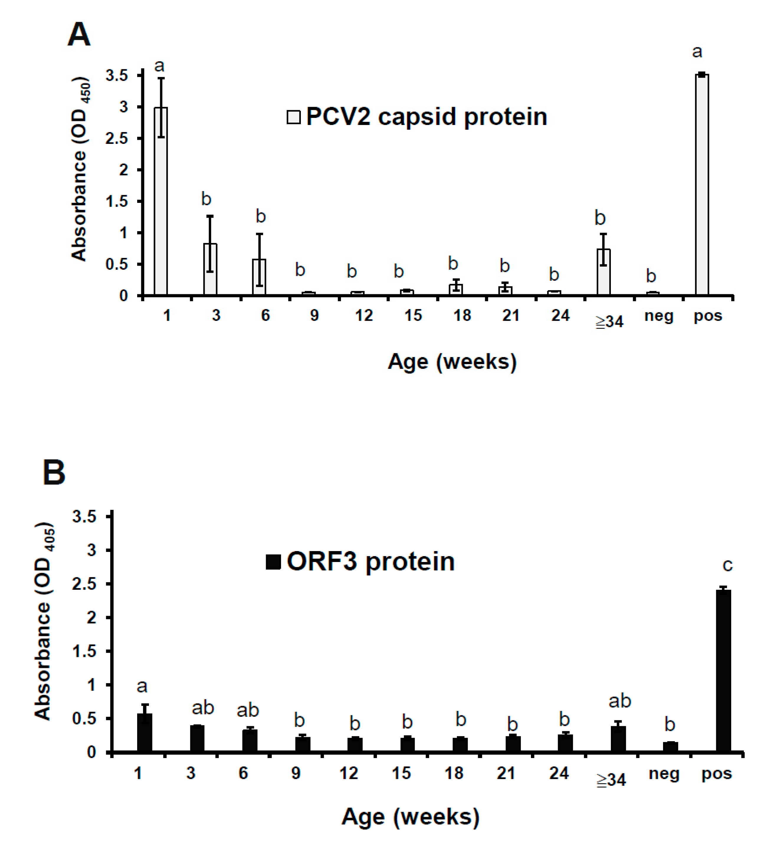 Viruses 12 00961 g005 Viruses 12 00961 g005