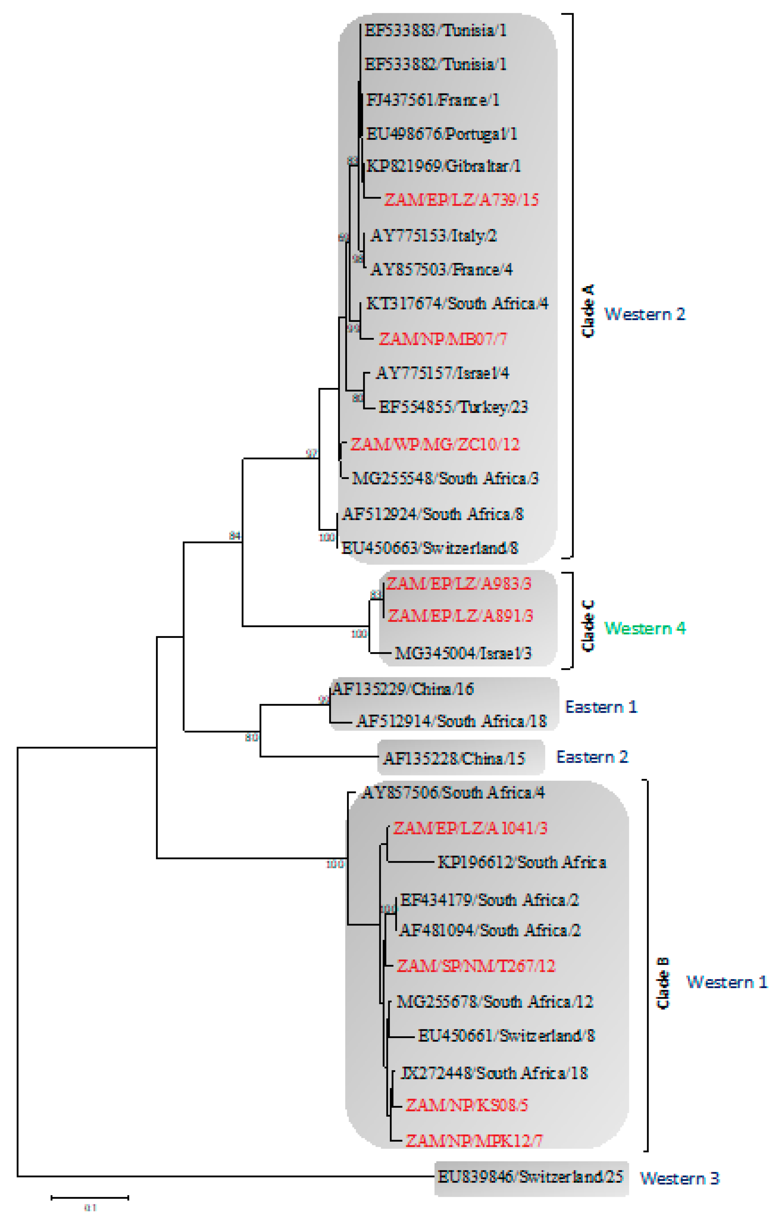 Viruses 12 00963 g003 Viruses 12 00963 g003