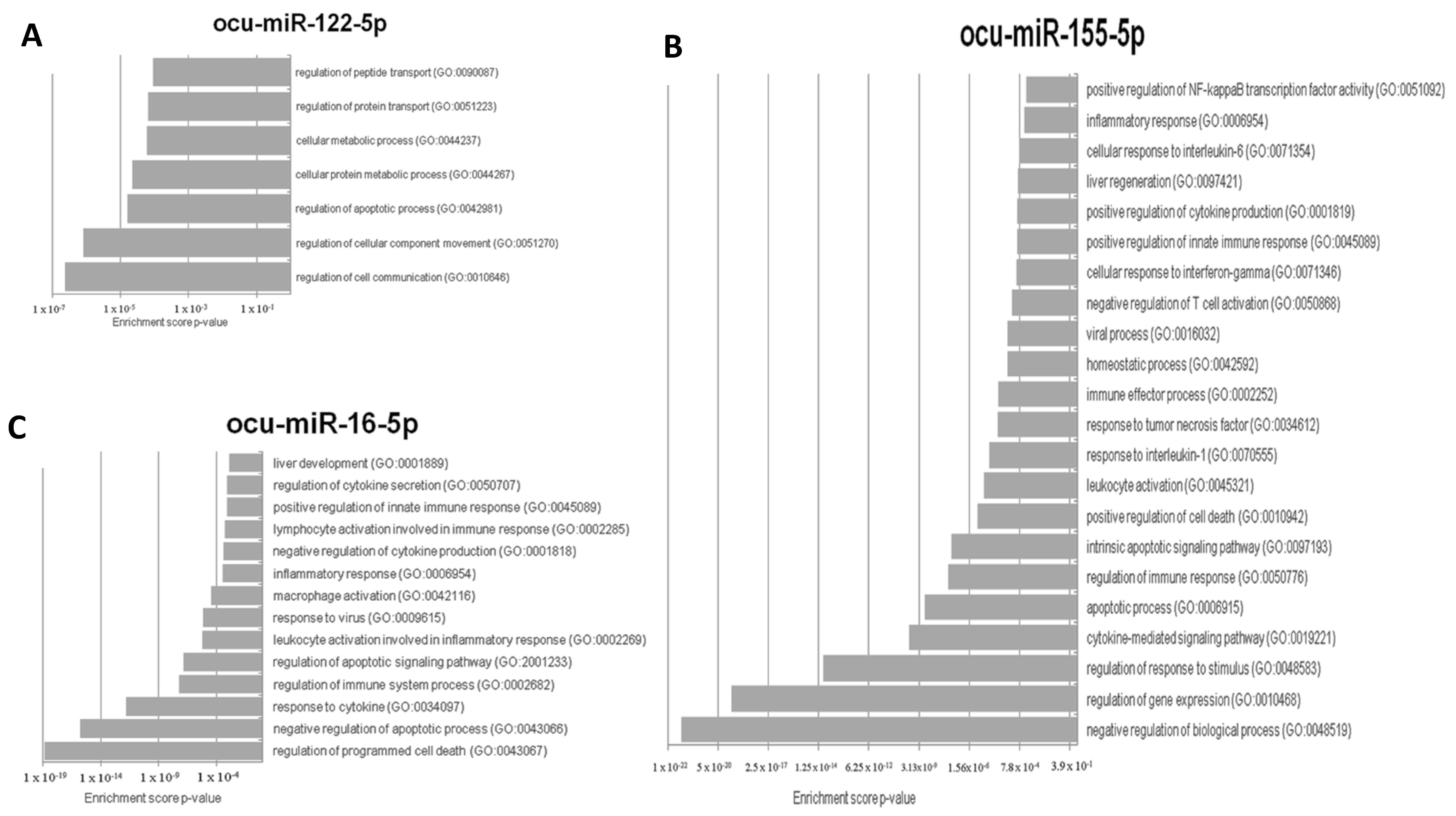 Viruses 12 00965 g004 Viruses 12 00965 g004